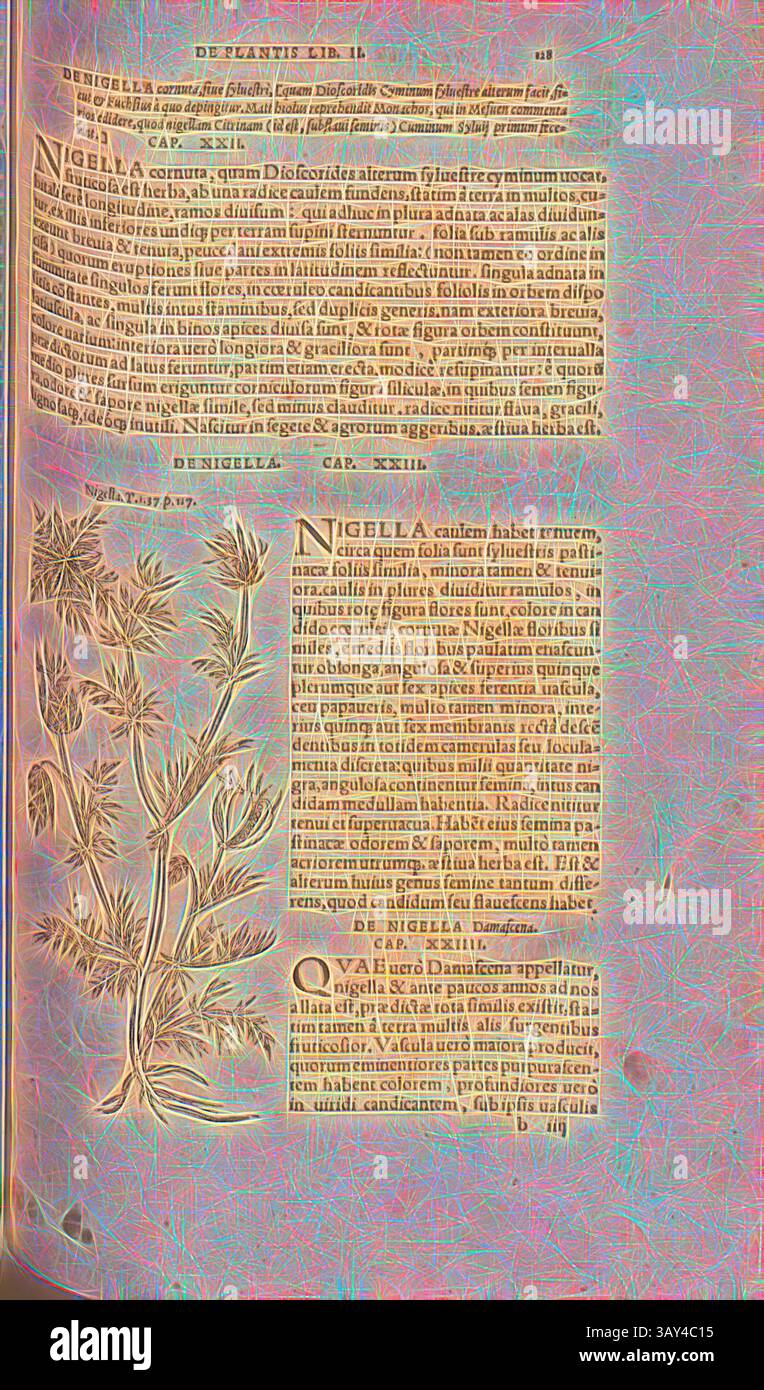 Eine illustrierte Seite mit detaillierten botanischen Beschreibungen und Illustrationen der Nigella-Blume, begleitet von lateinischem Text, der ihre Eigenschaften und Verwendungen erläutert. Das Layout kombiniert komplizierte Illustration mit wissenschaftlichem Text und schafft eine informative Darstellung der Naturgeschichte., Nigella, Illustration einer Jungfrau auf dem Land aus dem 16. Jahrhundert, Abb. 79, S. 128r, 1561, Valerius Cordus, Konrad Gessner, Benedictus Aretius, Pedanius Dioscorides: in hoc volumine continentur Valerii Cordi Simesusii annotationes in Pedacii Dioscoridis Anazarbei de medica materia libros V Stockfoto