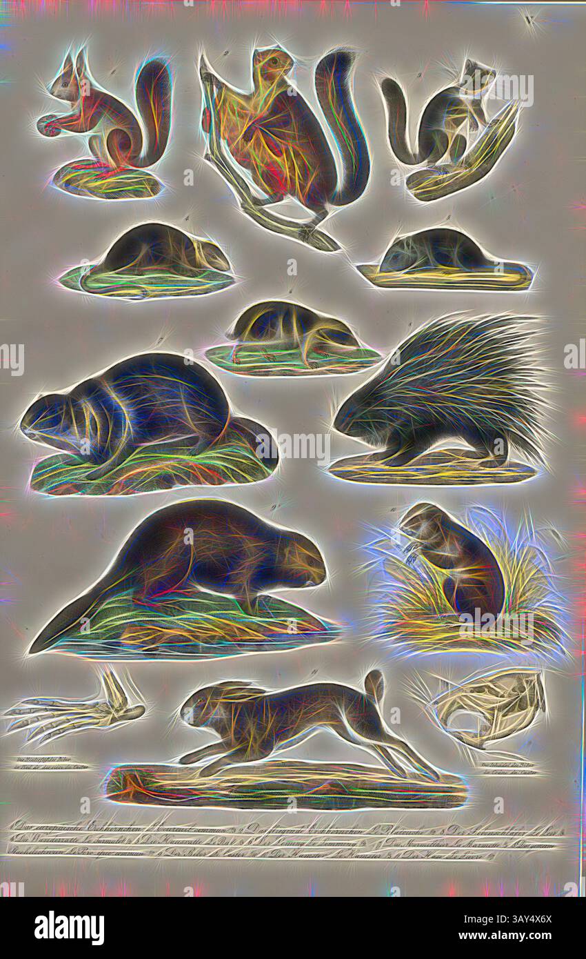 Eine Sammlung verschiedener Tiere, die in stilisierter Weise dargestellt werden, darunter kleine Säugetiere wie Biber, Stachelschweine, Kaninchen und verschiedene Arten von Katzen, die ihre einzigartigen Formen und Posen zeigen. Die Designs sind durchzogen mit lebhaften Farben und komplizierten Details, die die Vielfalt der Tierwelt hervorheben. Säugetiere: Croissants, Rauffians, Langschwanzmäuse, Grabmäuse, Stachelschweine, Hasen, 1. Das Europäische Eichhörnchen, 2. Das fliegende Eichhörnchen, 3. Der Schlafmaus, 4. Die braune Ratte, 5. Die Hausratte, 6. Lemming, 7. Das Murmeltier, 8. Das Stachelschwein, 9. Der Biber, 10. Der Hamster, 11. Der Hase, TAF. V Stockfoto