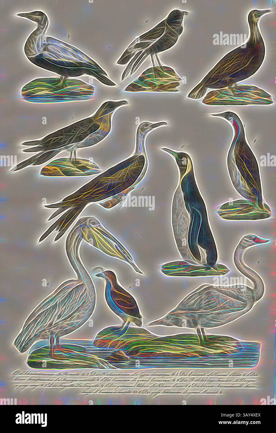 Eine Sammlung von elegant gestalteten Vögeln, die jeweils in einzigartigen Posen dargestellt werden und eine Vielzahl von Arten von Pelikanen bis Schwänen zeigen. Die künstlerische Darstellung betont ihre unterschiedlichen Formen und Merkmale und schafft ein lebendiges Zusammenspiel von Linien und Farben. Vögel: Raubmöven, Entenvögel, Kormorane, Fregattvögel, pelikane, Stürme, 1. Das Schmarotzermeve, 2. Der Stumme Schwan, 3. The Eider, 4. Der Little Luster Diver, 5. Der Kormorant, 6. Der Rotkästen-Taucher, 7. Die Fregatte, 8. Der Gemeinsame Pelikan, 9. Der kleinste Sturm-Schwalbe, 10. Der große Fetttaucher, Pl. VIII. Heinrich Rudolf Schinz: Abbildungen Stockfoto