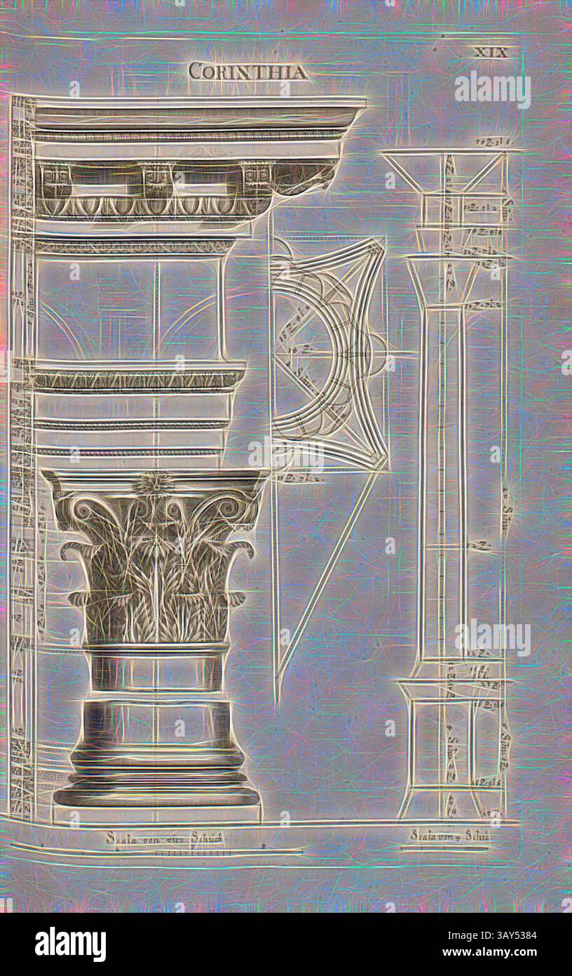 Eine detaillierte architektonische Zeichnung, die den korinthischen Säulenstil zeigt, mit komplizierten Entwürfen der Hauptstadt und einer Querschnittsansicht der Säulenstruktur. Die Abbildung zeigt die Eleganz und Komplexität der klassischen Architektur und betont kunstvolle Elemente und präzise Maße., Corinthia 3, Korinthische Ordnungssäule, Abb. 34, XIX, nach S. 30, Offizin Endter Nürnberg (imp.), 1775, Joachim von Sandrart:Teutsche Academie der Bau- Bildhauer- und Maler-Kunst: Worinn die Regeln und Lehrsätze dieser Künste gegeben, nicht weniger zu mehreren Erläuterungen die besten Exempel der Stockfoto