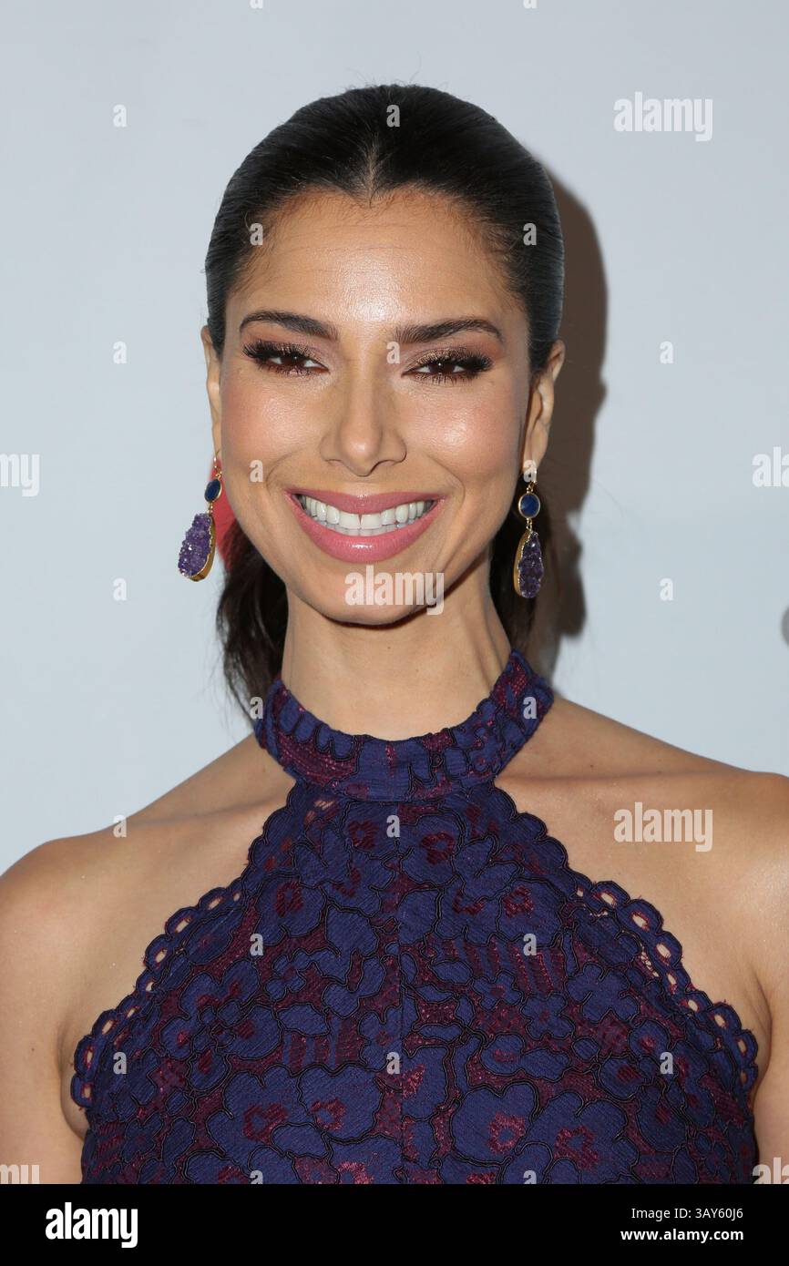 10. November 2016 - Beverly Hills, CA, USA - LOS ANGELES - 10. November: Roselyn Sanchez beim 5. Jährlichen Abendessen der Eva Longoria Foundation im Four Seasons Beverly Hills am 10. November 2016 in Beverly Hills, CA (Credit Image: © hPa/Newscom via ZUMA Press) Stockfoto