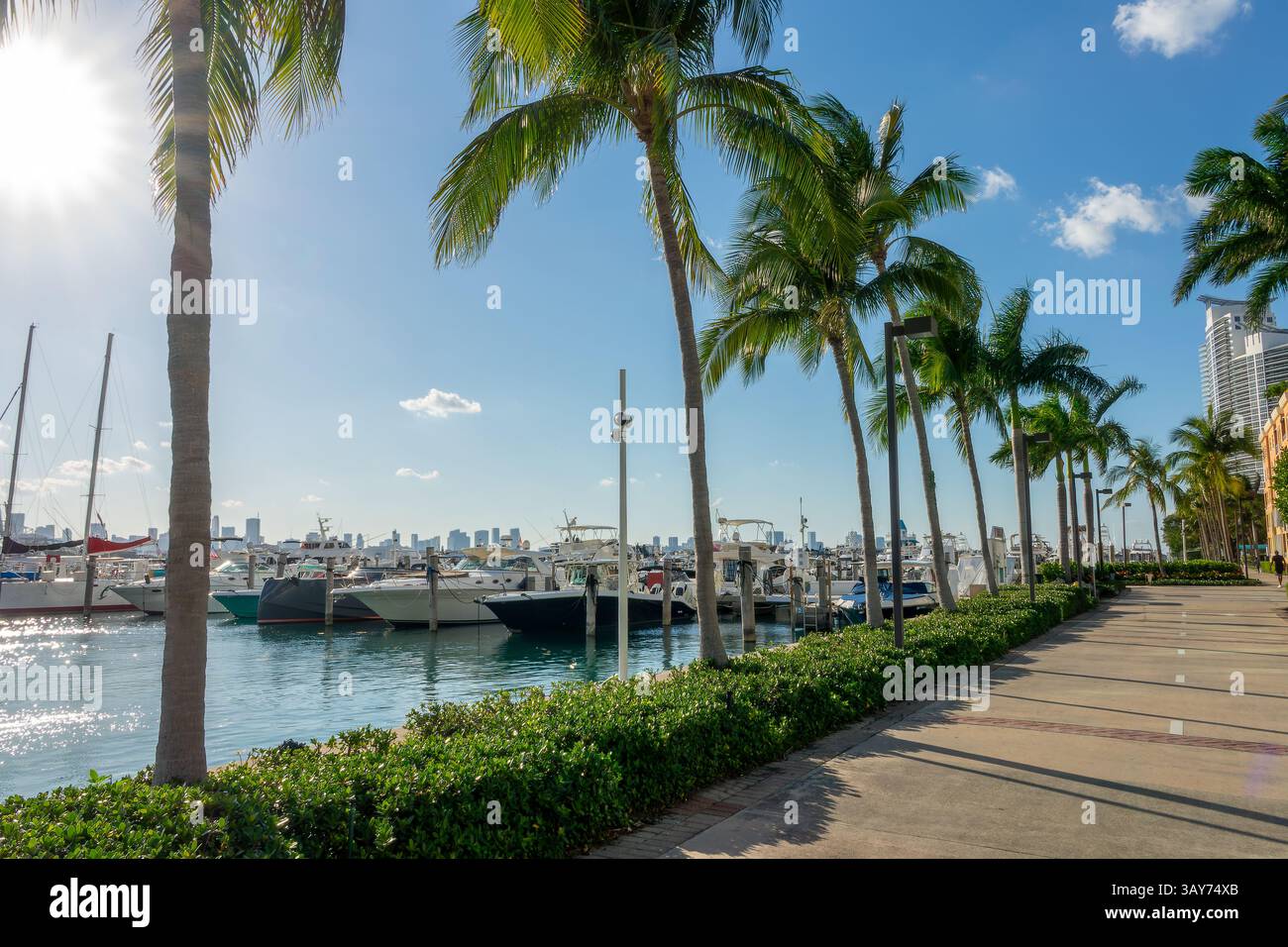 Boote in Miami Beach Marina, Miami, Florida Stockfoto