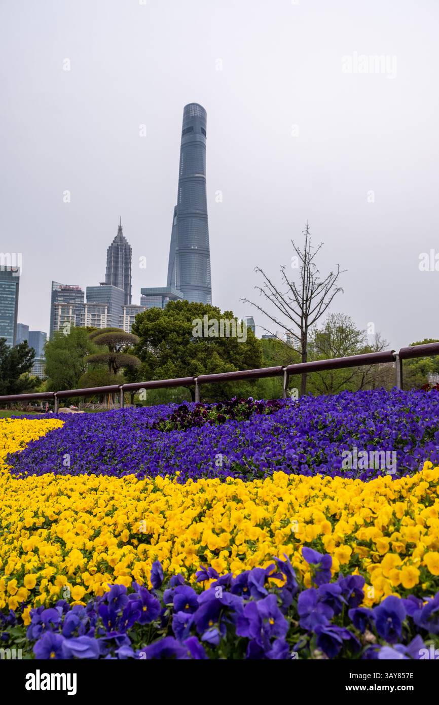 Hochhäuser der Stadt Shanghai vor bewölktem Himmel, China. Wolkenkratzer für Geschäfts- und Wohnbereiche und farbenfrohe Blumenbeete Stockfoto