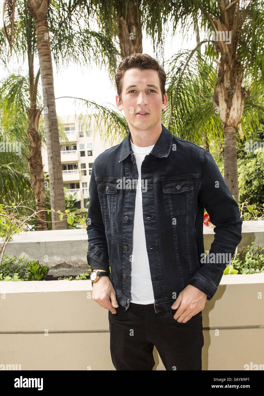 29. Oktober 2016 - Hollywood, Kalifornien, USA - MILES TELLER wirbt für den Film „Bleed for This“. Miles Alexander Teller (* 20. Februar 1987) ist ein US-amerikanischer Schauspieler. Geboren in Pennsylvania und Alumnus der Tisch School of Arts der NYU, trat er in mehreren Kurzfilmen und Fernsehfilmen auf, bevor er 2010 sein Spielfilmdebüt in Rabbit Hole gab. Er hatte Nebenrollen in Footloose (2011) und Project X (2012), bevor er für seine führende Rolle als Sutter Keely in The Spectacular Now (2013), für die er mit dem Sonderpreis der Jury des Sundance Film Festival ausgezeichnet wurde, kritisch gelobt wurde Stockfoto