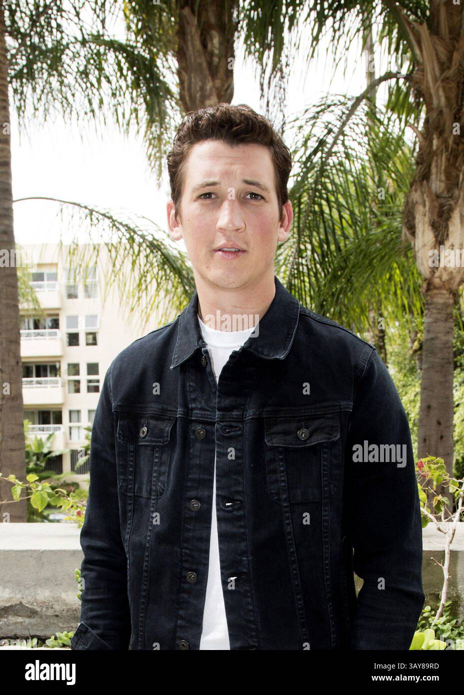 29. Oktober 2016 - Hollywood, Kalifornien, USA - MILES TELLER wirbt für den Film „Bleed for This“. Miles Alexander Teller (* 20. Februar 1987) ist ein US-amerikanischer Schauspieler. Geboren in Pennsylvania und Alumnus der Tisch School of Arts der NYU, trat er in mehreren Kurzfilmen und Fernsehfilmen auf, bevor er 2010 sein Spielfilmdebüt in Rabbit Hole gab. Er hatte Nebenrollen in Footloose (2011) und Project X (2012), bevor er für seine führende Rolle als Sutter Keely in The Spectacular Now (2013), für die er mit dem Sonderpreis der Jury des Sundance Film Festival ausgezeichnet wurde, kritisch gelobt wurde Stockfoto