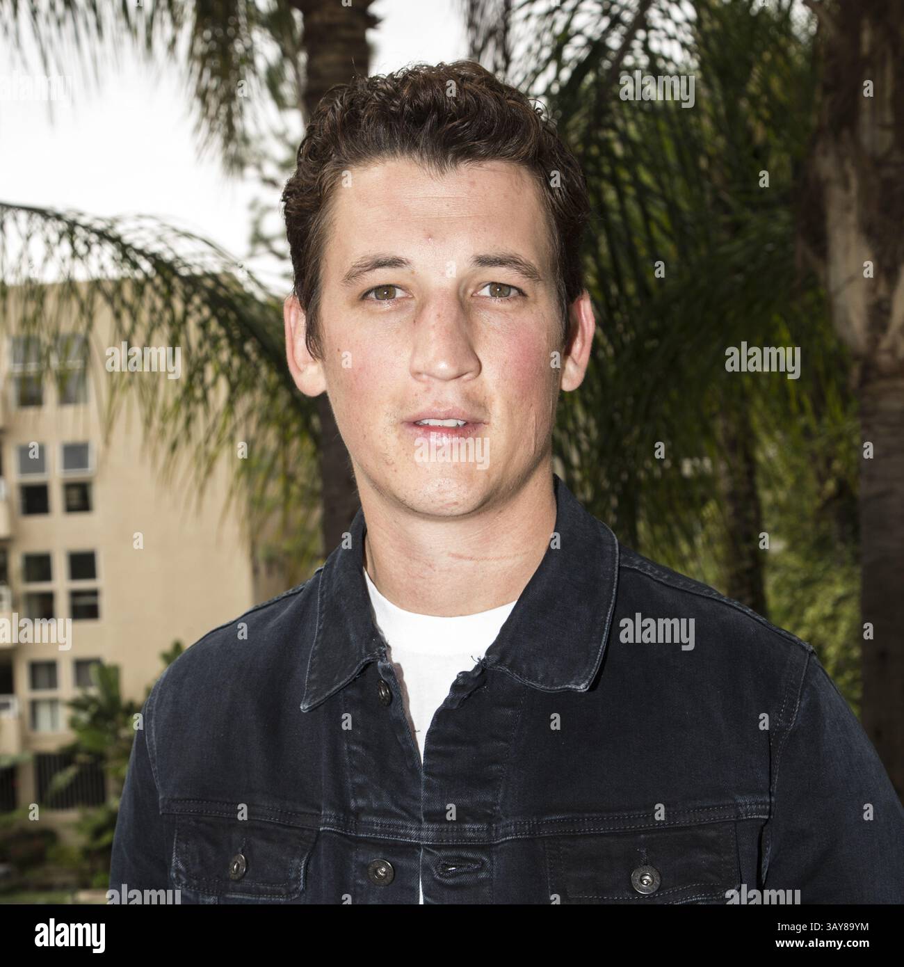 29. Oktober 2016 - Hollywood, Kalifornien, USA - MILES TELLER wirbt für den Film „Bleed for This“. Miles Alexander Teller (* 20. Februar 1987) ist ein US-amerikanischer Schauspieler. Geboren in Pennsylvania und Alumnus der Tisch School of Arts der NYU, trat er in mehreren Kurzfilmen und Fernsehfilmen auf, bevor er 2010 sein Spielfilmdebüt in Rabbit Hole gab. Er hatte Nebenrollen in Footloose (2011) und Project X (2012), bevor er für seine führende Rolle als Sutter Keely in The Spectacular Now (2013), für die er mit dem Sonderpreis der Jury des Sundance Film Festival ausgezeichnet wurde, kritisch gelobt wurde Stockfoto