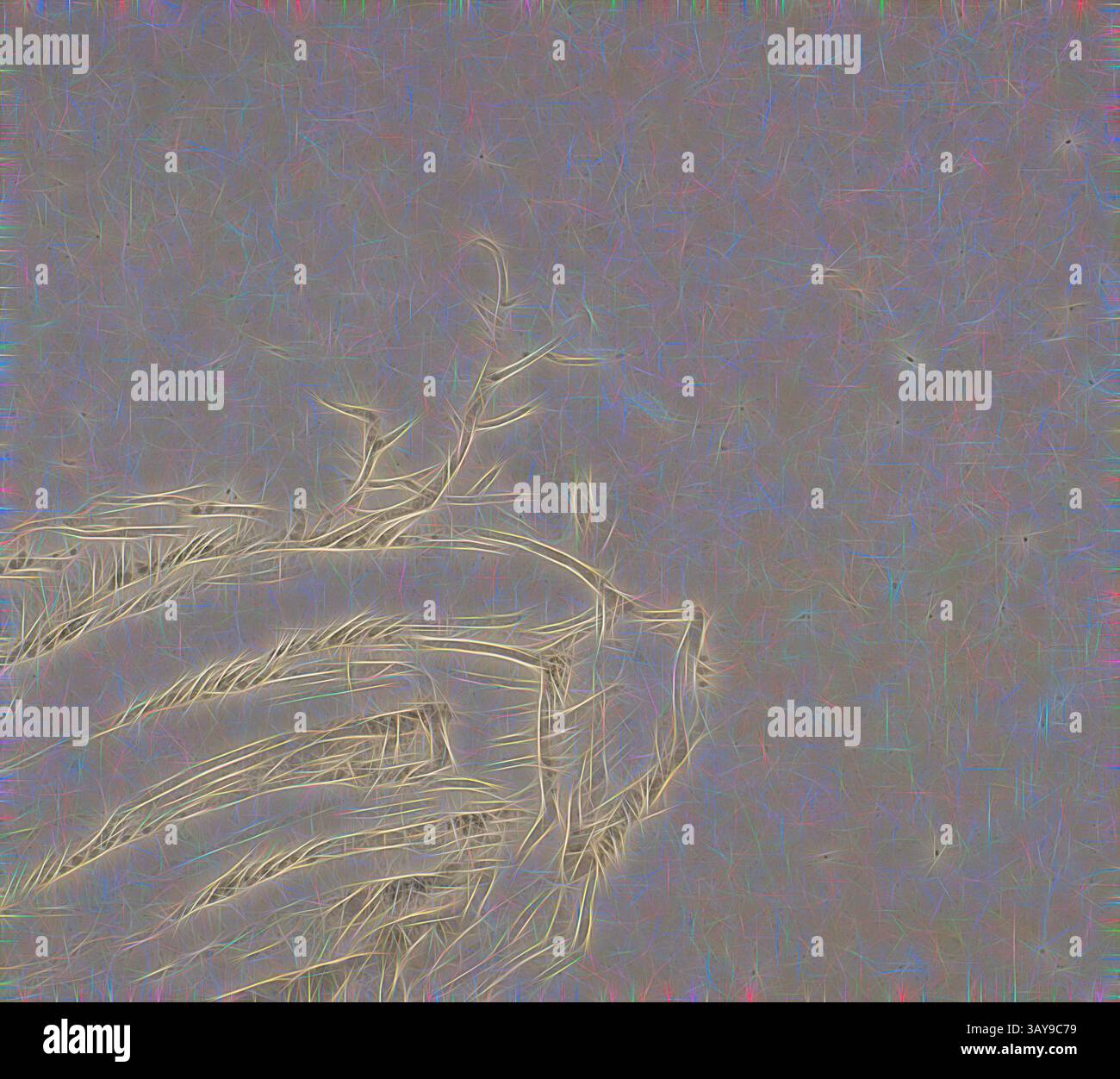 Eine zarte Hand hält sanft einen Zweig aus feinem, schimmerndem Laub und hebt die komplizierten Details der Natur hervor. Die weichen Linien und subtilen Texturen schaffen eine ätherische Qualität, die ein Gefühl der Ruhe und Verbindung zur natürlichen Welt einlädt. Die Ode über das Whistling, Zhang Feng (Chinesisch), Qing-Dynastie, Epoche, Shunzhi, 1659, Tinte auf Papier, 9-3/4 x 40 Zoll (Bild) 9-3/4 x 207 Zoll (Insgesamt), signiert: Shangyuan Zhang Feng Seal: Zhang Feng Yin, Siegel: Zhang Dafeng Kolophone: Gu Mengyu (1599-1660) Transkription von Xiao Fu; Gu Wenbin (1811-1889) [Guoyun lou], 1877; Dan Zhongguang (1623-1692) über Montage, Asian Art Stockfoto