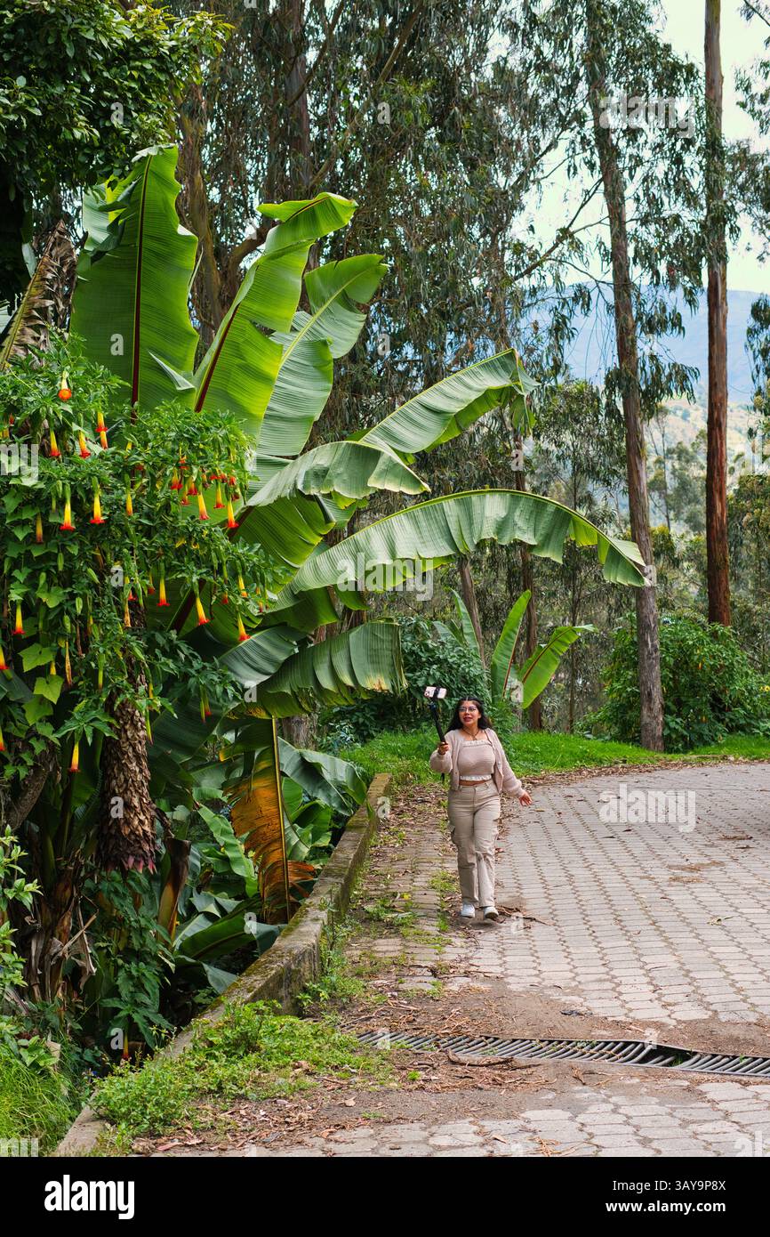 Eine friedliche Szene einer Frau, die auf einem Steinweg spaziert, umgeben von lebendigem Laub, das die Atmosphäre verstärkt Stockfoto