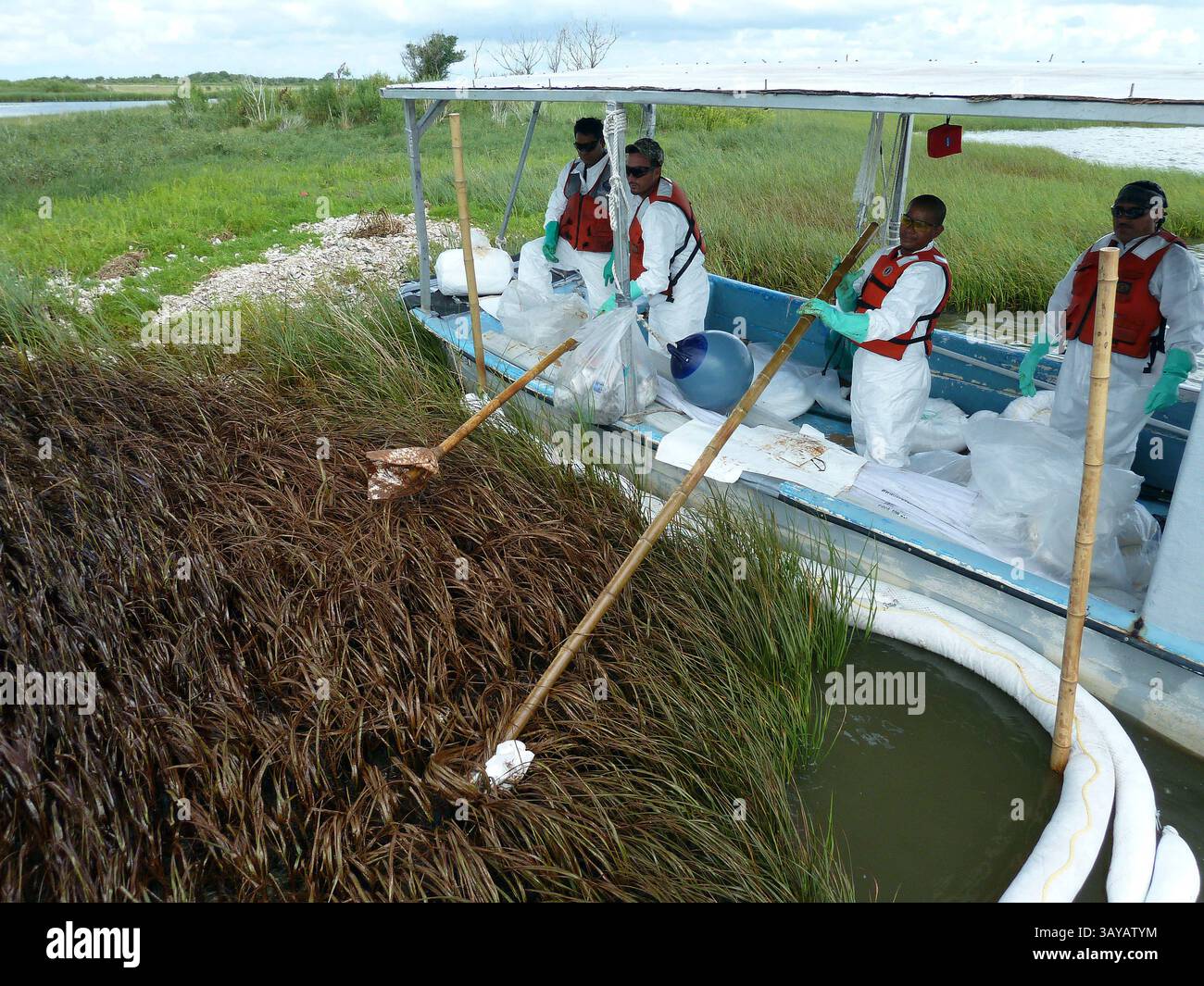 Juli 2010 - Terrebonne Bay, Louisiana, USA - Auftragnehmer verwenden improvisierte Mopps aus Bambusstangen und saugfähigen Pads, um Öl im Sumpfgras in Terrebonne Bay, La, zu reinigen. Das Öl aus der Deepwater Horizon-Ölkatastrophe kam vor zwei Tagen an Land, und die Mitarbeiter der Branch Terrebonne Parish reagieren mit sowohl getesteten Methoden als auch mit improvisiertem Erfindungsreichtum, um es wiederzugewinnen. Die Deepwater Horizon Ölpest ist eine massive Ölpest im Golf von Mexiko, die heute als die größte Offshore-Ölpest in der Geschichte der USA gilt. Die Ölpest stammt von einer Ölpfanne aus dem Meeresboden, die auf die Deepwa vom 20. April 2010 zurückzuführen ist Stockfoto