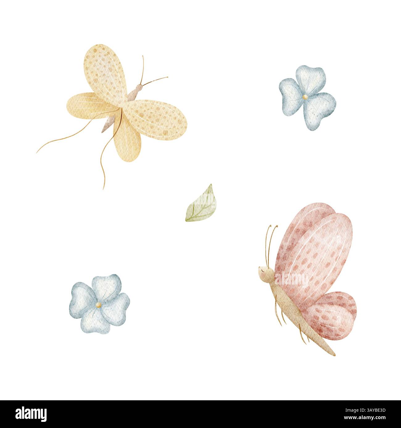Aquarellillustration von Schmetterling gelb, rosa, Blumen blau mit Blättern. Set handgezeichneter Isolate im Zeichentrickstil für die Gestaltung von Karten und Plakaten Stockfoto