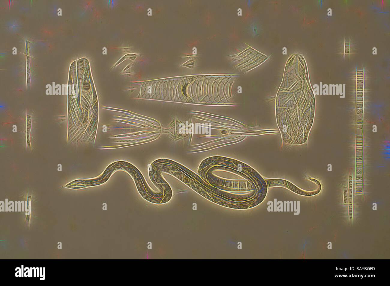 Eine abstrakte Darstellung mit einer Schlange neben verschiedenen organischen Formen und Formen, alle aufwändig mit feinen Linien und Mustern versehen, die ein Gefühl von Bewegung und Tiefe schaffen. Lithografischer Proof - Lithographische Tinte & Papier, Einfarbiger Proof für Platte 13 in The Prodromus of the Zoology of Victoria von Frederick McCoy., Klassische Kunst mit modernem Touch, neu interpretiert von Artotop Stockfoto