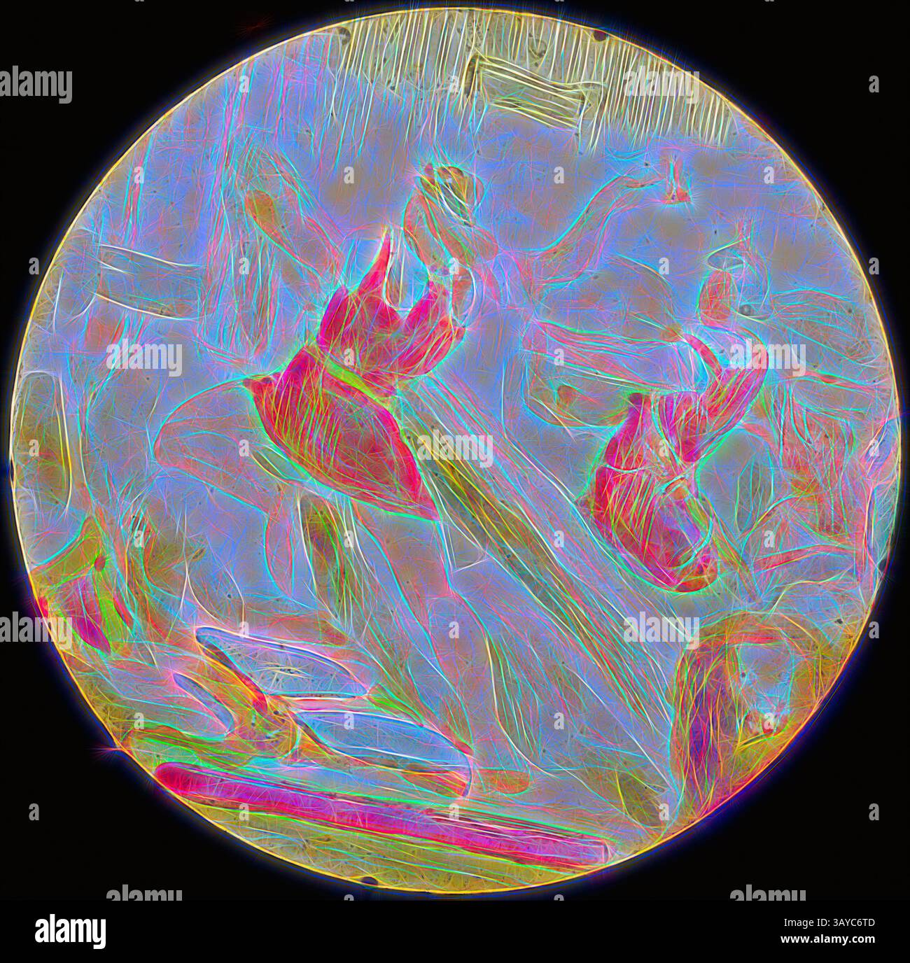 Eine lebendige kreisförmige Szene fängt Tänzer in dynamischen Posen ein, ihre Bewegungen strahlen Energie und Rhythmus aus, und ein Anstoß von bunten Linien und Mustern unterstreicht die lebendige Atmosphäre. Die Kulisse ist mit abstrakten Formen gefüllt, die der Vorstellung Tiefe und Textur verleihen., Lantern Slide - The Holy war, „Barricading Oar Gate“, 1850-1910, gemalte Laterne Slide, die Männer beim Barrikaden des Tores zeigt. Eine von 12 gedruckten Laternen-Folien, die die Geschichte des Heiligen Krieges darstellen, die ursprünglich 1682 von John Bunyan geschrieben wurde. Zusammen in einer Holzkiste. Die Sammlung enthält fotografische, gedruckte und handschriftliche Bilder Stockfoto
