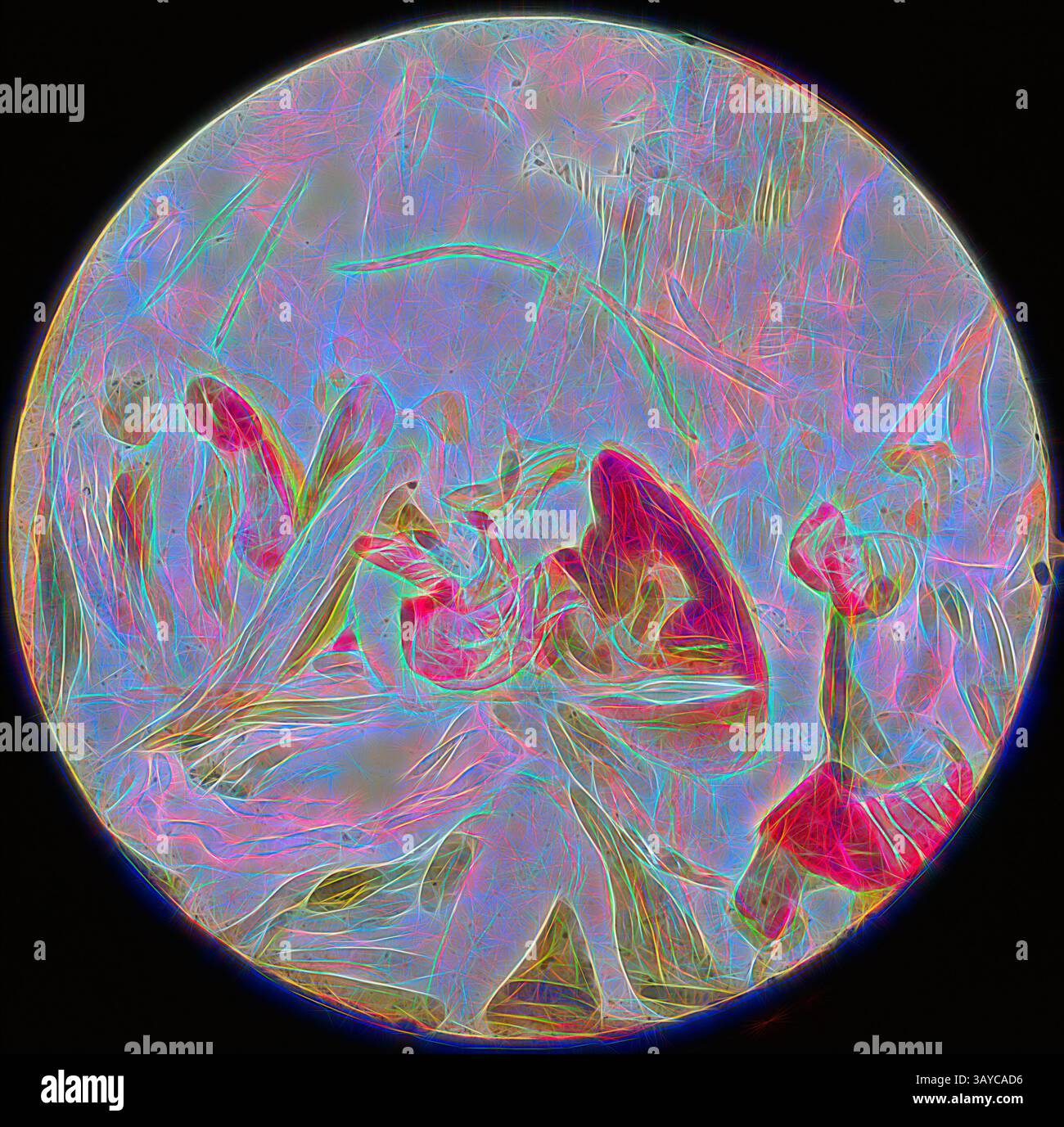Eine lebendige Szene zeigt dynamische Figuren, die in einer dramatischen Interaktion involviert sind, umgeben von einer Vielzahl von wirbelnden Farben und abstrakten Formen, die eine traumhafte Atmosphäre schaffen. Die Komposition lädt zur Neugier ein und weckt ein Gefühl von Bewegung und Emotionen unter den Charakteren., Lantern Slide - The Holy war, „First Attack on Oar Gate“, 1850–1910, gemalte Laternenfolie, die Männer zeigt, die sich mit Lanzen und Schilden am Ohr Gate in der fiktiven Stadt Mansoul angreifen. Eine von 12 gedruckten Laternen-Folien, die die Geschichte des Heiligen Krieges darstellen, die ursprünglich 1682 von John Bunyan geschrieben wurde Stockfoto