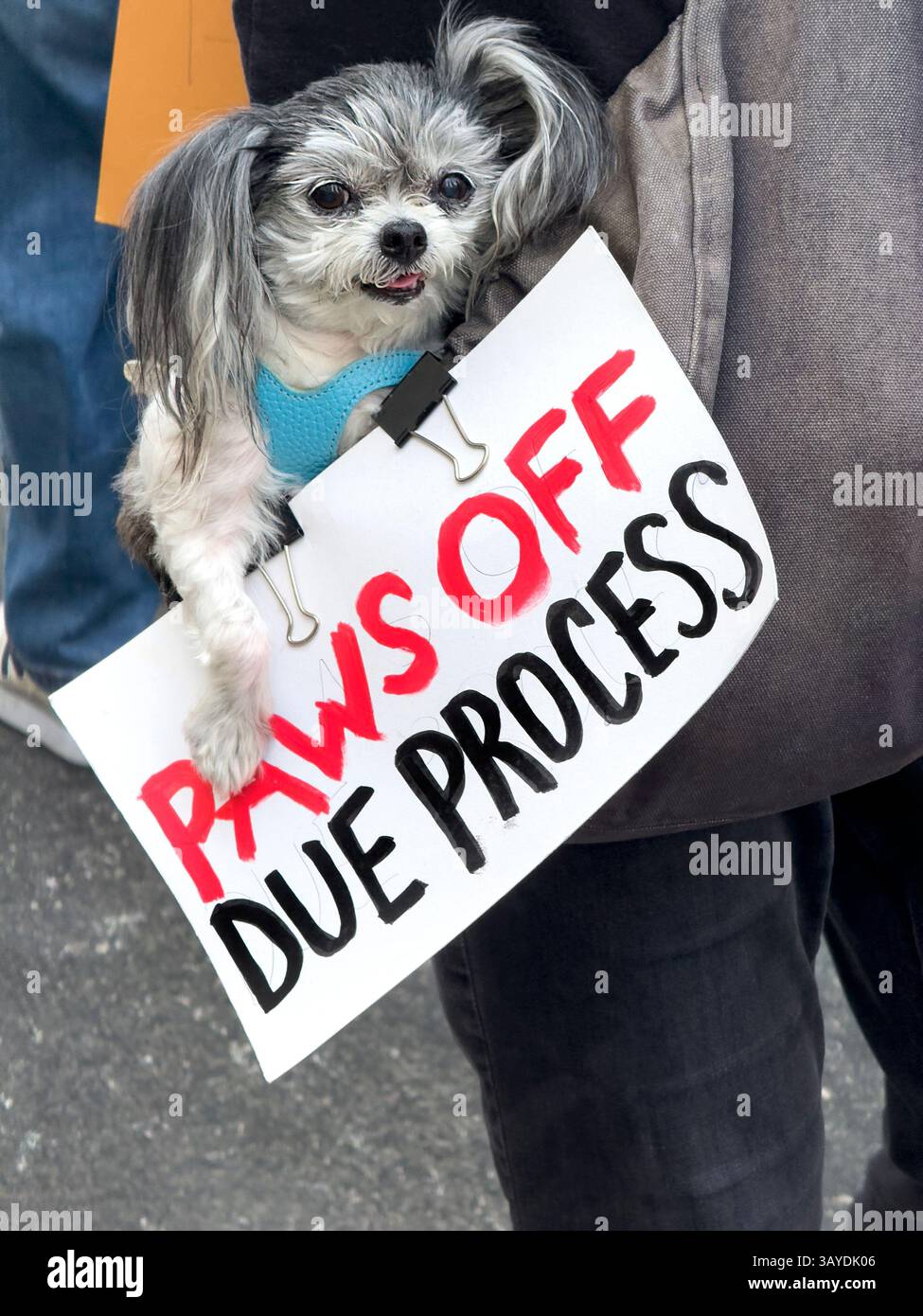 Demonstranten, die an der Proteste „Our City, Our Fight: Protect Migranten, Protect the Planet“ teilnehmen, New York City, New York, 19. April 2025 Stockfoto