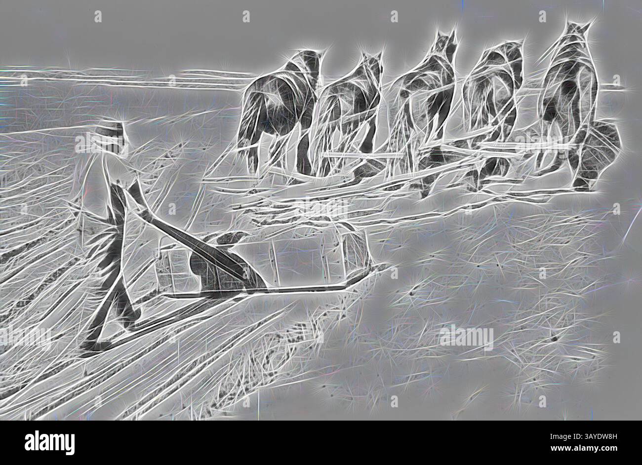 Ein Landwirt pflügt geschickt ein Feld mit Hilfe eines Pferdeteams und zeigt eine harmonische Verbindung zwischen Mensch und Tier in der landwirtschaftlichen Arbeit., negativ - Jack McRae mit einem Buck-Scraper, Victoria, von Bill Boyd, 1922, Bill Boyd beschreibt dieses Bild: „Mit einem zwei Meter langen Buck-Scraper arbeitet Jack McRae an einem tiefen Schnitt durch einen Sandanstieg, um einen Kanal zu machen, der in einer Meile fiel.“ Wasserkanäle waren für Landwirte, die das Land in der Region Mallee bewirtschaften wollten, von entscheidender Bedeutung. Mit einem durchschnittlichen Niederschlag von weniger als 12 Zoll pro Jahr waren Dürren endemisch. Weston Bate, 1989 Stockfoto