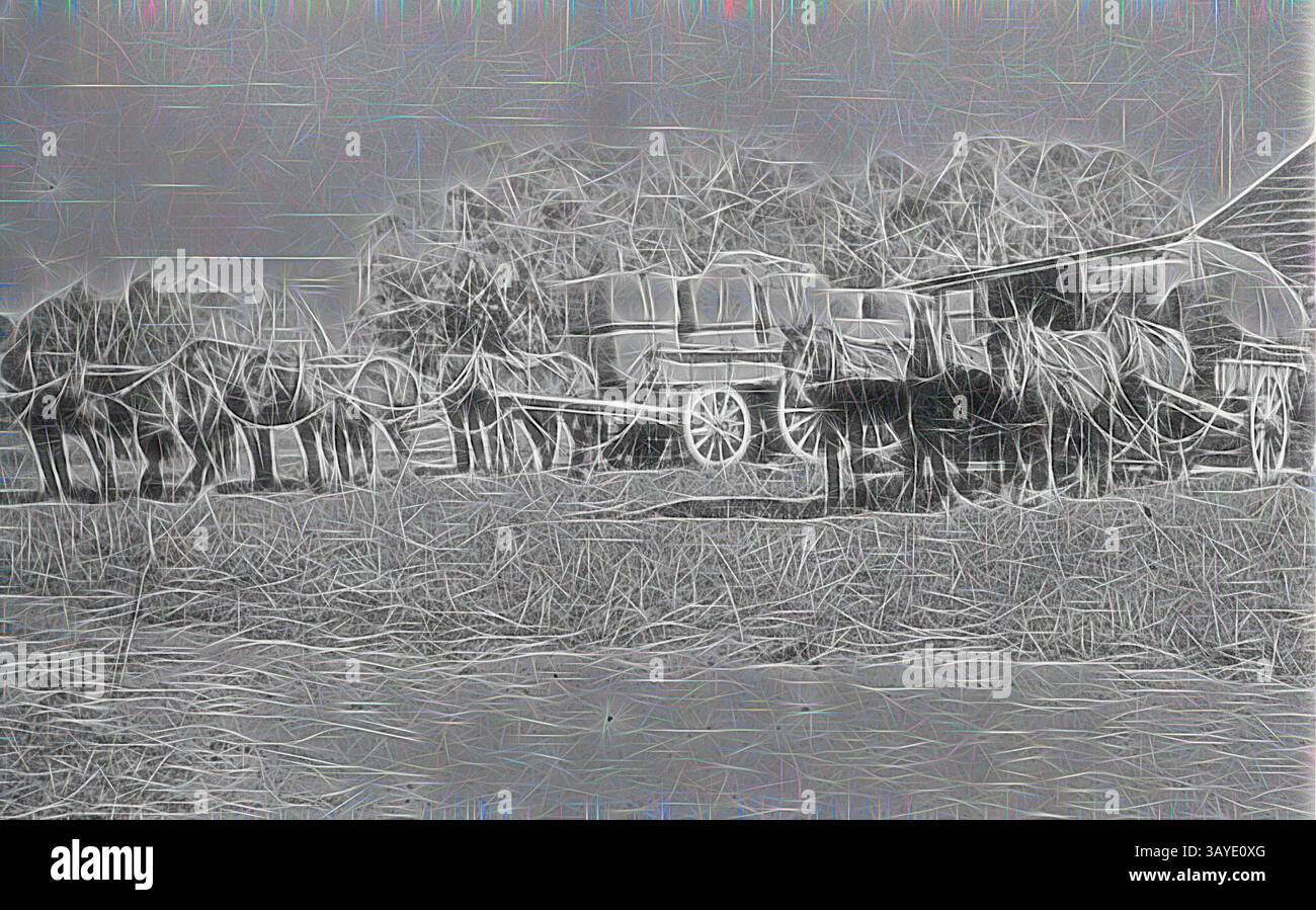 Eine Reihe von Pferden steht geduldig neben einem Vintage-Wagen, vor einem Hintergrund von Bäumen und offenem Land, was ein Gefühl der Nostalgie für eine einfachere Ära weckt. Negativ - Wool Bale Wagons, im Euston District, New South Wales, um 1905, Pferdewagen mit Wollballen beladen auf der Station Prill Park. Klassische Kunst mit einem modernen Twist, neu interpretiert von Artotop Stockfoto