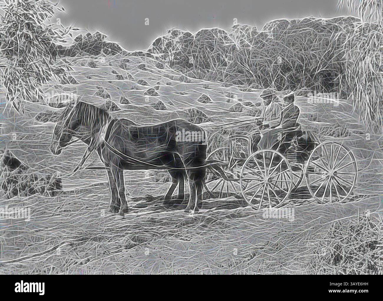 Ein Pferd steht geduldig neben einer Kutsche, während eine Person auf dem Fahrersitz sitzt, umgeben von sanften Hügeln und Laub im Hintergrund. Die Szene fängt einen Moment der Ruhe in einer pastoralen Umgebung ein. Negativ - New South Wales, um 1900, Ein gut gekleidetes Paar in Pferd und Kutsche in sandhills an der Station „Warrakoo“. Der Darling River ist auf der rechten Seite zu sehen. Klassische Kunst mit einem modernen Touch, der von Artotop neu gestaltet wurde Stockfoto