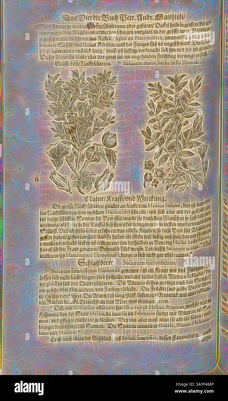 Ein antiker Text mit Illustrationen von Pflanzen, begleitet von detaillierten Beschreibungen ihrer Verwendung und Eigenschaften, in einem komplizierten Layout angeordnet. Der Inhalt spiegelt historisches Wissen über Botanik und Kräutermedizin wider. Süßer, frischer Nachttanz, großer dunkler Nachtschatten, Fol. 376v, 1590, Pietro Andrea Mattioli, Joachim Camerarius: Kreuterbuch desz hochgelehrten unnd weitberühmter Herr D. Petri Andreae Matthioli. Franckfort am Mayn: [Feyrabendt], 1590, Klassische Kunst mit einem modernen Twist von Artotop Stockfoto