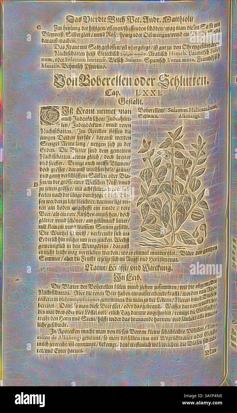 Eine offene Seite eines alten Dokuments zeigt komplexe botanische Illustrationen und detaillierten Text in einer Vintage-Schrift. Das Layout zeigt Titel und Anmerkungen zu Pflanzenarten, die historisches Wissen und Naturgeschichte widerspiegeln. Das Design ist verziert, mit dekorativen Rändern, die die akademische Ästhetik verstärken. Solanum Halicacabum, Alkekengi, Boberellen, Schlutten, Fol. 375v, 1590, Pietro Andrea Mattioli, Joachim Camerarius: Kreuterbuch desz hochgelehrten unnd weitberühmter Herr D. Petri Andreae Matthioli. Franckfort am Mayn: [Feyrabendt], 1590, Klassische Kunst mit modernem Twist Stockfoto