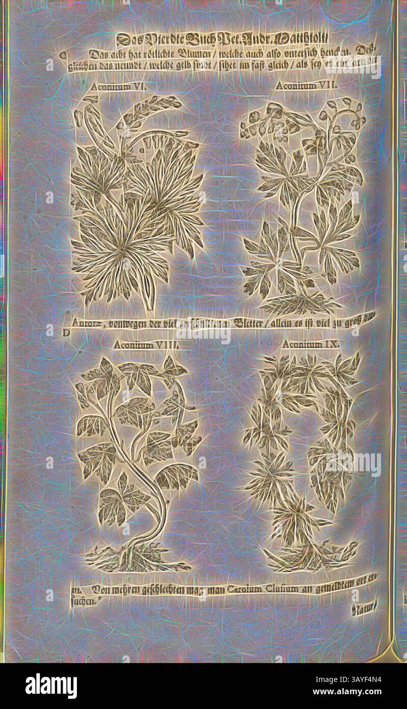 Dieses Kunstwerk zeigt verschiedene detaillierte botanische Illustrationen, die verschiedene Pflanzenarten mit beschrifteten Abschnitten hervorheben. Die komplizierten Designs zeigen Laub und Blumen und betonen die Vielfalt in Form und Struktur innerhalb jeder dargestellten Pflanze. Die Gesamtzusammensetzung spiegelt eine Mischung aus Kunstfertigkeit und wissenschaftlicher Beobachtung bei der Erforschung der Flora wider., Aconitum, Fol. 381v, 1590, Pietro Andrea Mattioli, Joachim Camerarius: Kreuterbuch desz hochgelehrten unnd weitberühmter Herr D. Petri Andreae Matthioli. Franckfort am Mayn: [Feyrabendt], 1590, Klassische Kunst mit einem modernen Twist neu interpretiert von Stockfoto