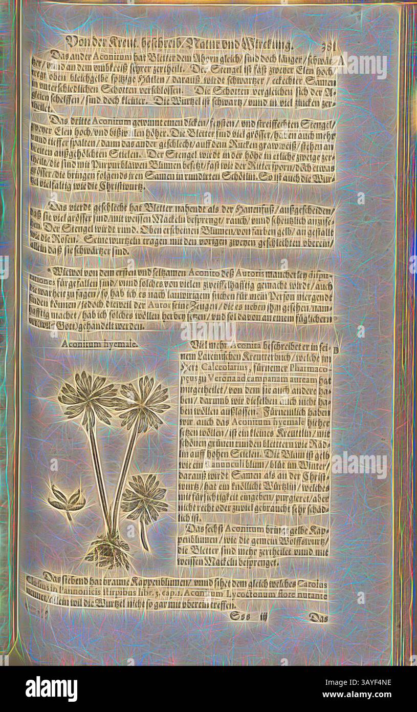Eine antike Seite mit kompliziertem Text und detaillierten Illustrationen von Pflanzen, die historische botanische Informationen und Heilmittel zeigen. Das kunstvolle Layout spiegelt die Handwerkskunst vergangener Zeiten wider, mit elegantem Schriftzug und dekorativen Elementen, die die Gesamtkomposition unterstreichen., Winteraconit, Ein kleiner Kreuttlin mit schönen grünen runden Klingen wie Rädlin auf hohen Stielen, Fol. 381r, 1590, Pietro Andrea Mattioli, Joachim Camerarius: Kreuterbuch desz hochgelehrten unnd weitberühmter Herr D. Petri Andreae Matthioli. Franckfort am Mayn: [Feyrabendt], 1590, Klassische Kunst mit modernem Twist Stockfoto