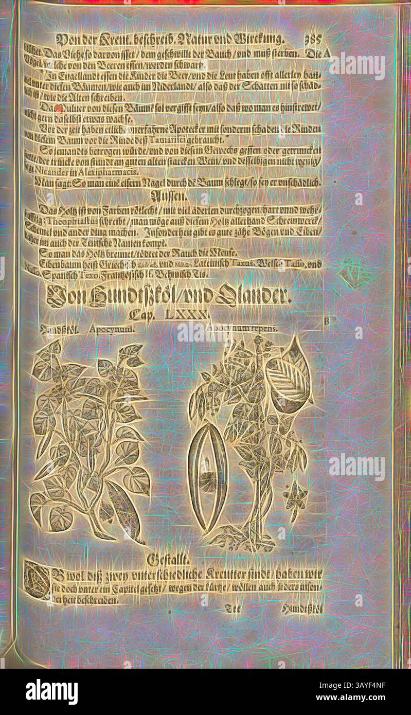 Eine reich verzierte Seite mit kompliziertem Text und botanischen Illustrationen, die detaillierte Pflanzendarstellungen sowie eine Mischung aus natürlichen und mystischen Themen enthält. Das Layout enthält dekorative Elemente, die die Beziehung zwischen Natur und traditionellem Wissen hervorheben. Und plötzlich VERBREITEND, Hundszköl, Fol. 385r, 1590, Pietro Andrea Mattioli, Joachim Camerarius: Kreuterbuch desz hochgelehrten unnd weitberühmter Herr D. Petri Andreae Matthioli. Franckfort am Mayn: [Feyrabendt], 1590, Klassische Kunst mit einem modernen Twist von Artotop Stockfoto