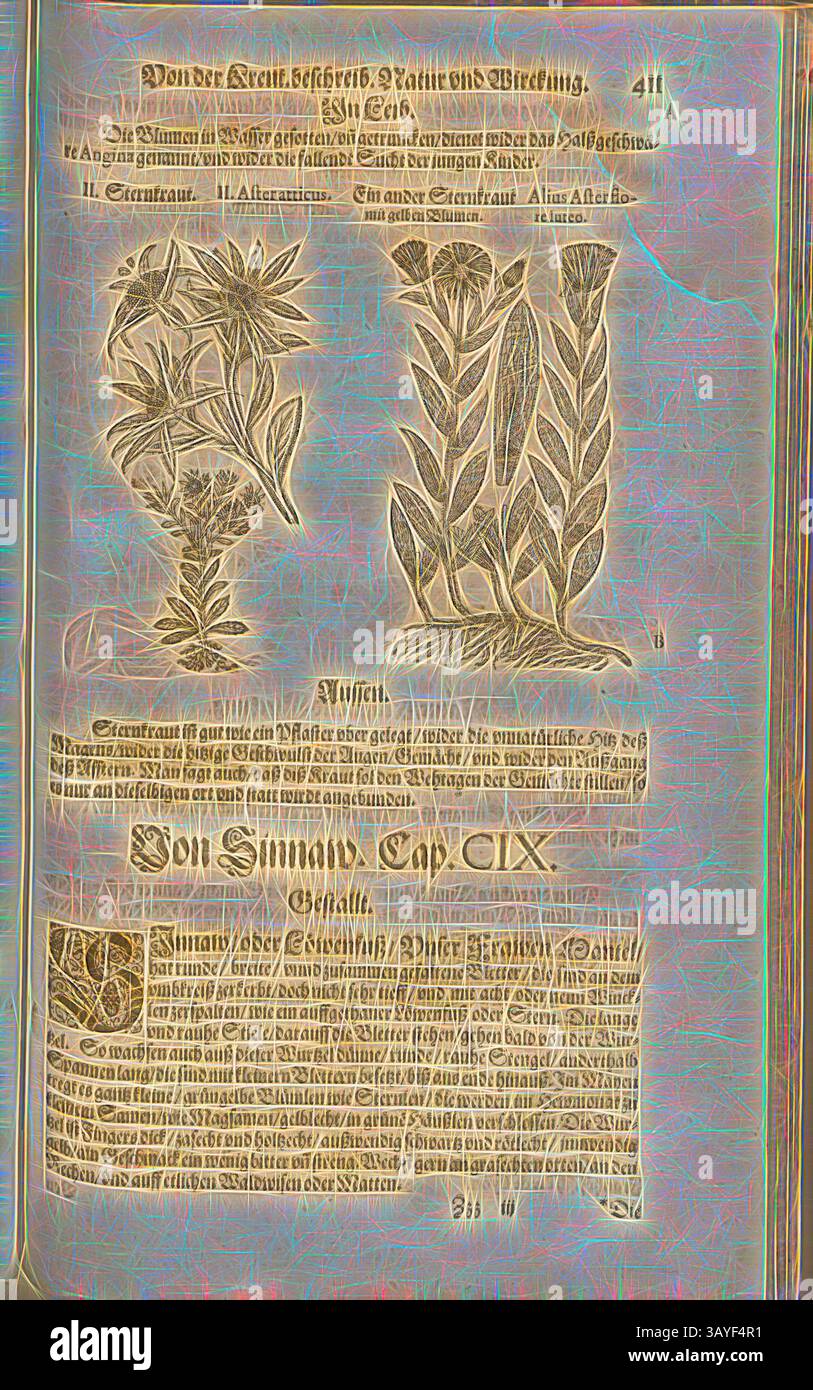 Eine reich verzierte Seite mit komplexen Illustrationen verschiedener Pflanzen und botanischer Formen, begleitet von ausführlichen Texten, die ihre Eigenschaften und Verwendungen erläutern. Das Layout enthält dekorative Elemente, die die künstlerische Präsentation verbessern. Ein weiterer Aster, Aster atticus und gelbe Blume, Starwort, Fol. 411r, 1590, Pietro Andrea Mattioli, Joachim Camerarius: Kreuterbuch desz hochgelehrten unnd weitberühmter Herr D. Petri Andreae Matthioli. Franckfort am Mayn: [Feyrabendt], 1590, Klassische Kunst mit einem modernen Twist von Artotop Stockfoto