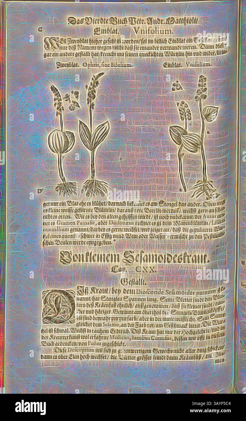 Ein illustrierter botanischer Leitfaden mit detaillierten Darstellungen verschiedener Pflanzen, begleitet von einem beschreibenden Text, der Informationen über ihre Eigenschaften und Verwendungen enthält. Das Layout kombiniert komplizierte Gravuren mit informativen Beschriftungen, die zu Ophrah, Unifolium oder Bifolium, Zweyblat und Einblat, Fol führen. 421v, 1590, Pietro Andrea Mattioli, Joachim Camerarius: Kreuterbuch desz hochgelehrten unnd weitberühmter Herr D. Petri Andreae Matthioli. Franckfort am Mayn: [Feyrabendt], 1590, Klassische Kunst mit einem modernen Twist von Artotop Stockfoto