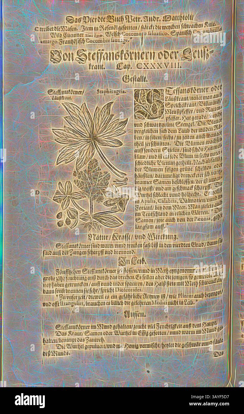 Eine kunstvolle botanische Illustration, begleitet von ausführlichen Texten, die die Merkmale, Verwendungen und den Anbau einer bestimmten Pflanze beschreiben. Das Layout ist mit dekorativen Elementen und stilisierten Schriften versehen, die den historischen Kontext der botanischen Studien betonen., Staff, Steffanskörner, Läuszkraut, Fol. 439v, 1590, Pietro Andrea Mattioli, Joachim Camerarius: Kreuterbuch desz hochgelehrten unnd weitberühmter Herr D. Petri Andreae Matthioli. Franckfort am Mayn: [Feyrabendt], 1590, Klassische Kunst mit einem modernen Twist von Artotop Stockfoto