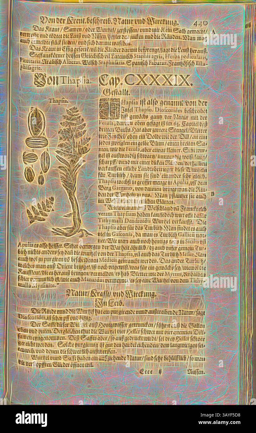 Eine kunstvolle Seite mit komplizierten Illustrationen von Pflanzen und Blumen, begleitet von detaillierten Texten in einer antiken Schrift. Das Layout umfasst dekorative Elemente, die ein elegantes Design zeigen, das die botanischen Themen zusammen mit einer historischen Referenz betont., Wandteppich, Thapisa von der Insel Thapso, Fol. 440r, 1590, Pietro Andrea Mattioli, Joachim Camerarius: Kreuterbuch desz hochgelehrten unnd weitberühmter Herr D. Petri Andreae Matthioli. Franckfort am Mayn: [Feyrabendt], 1590, Klassische Kunst mit einem modernen Twist von Artotop Stockfoto