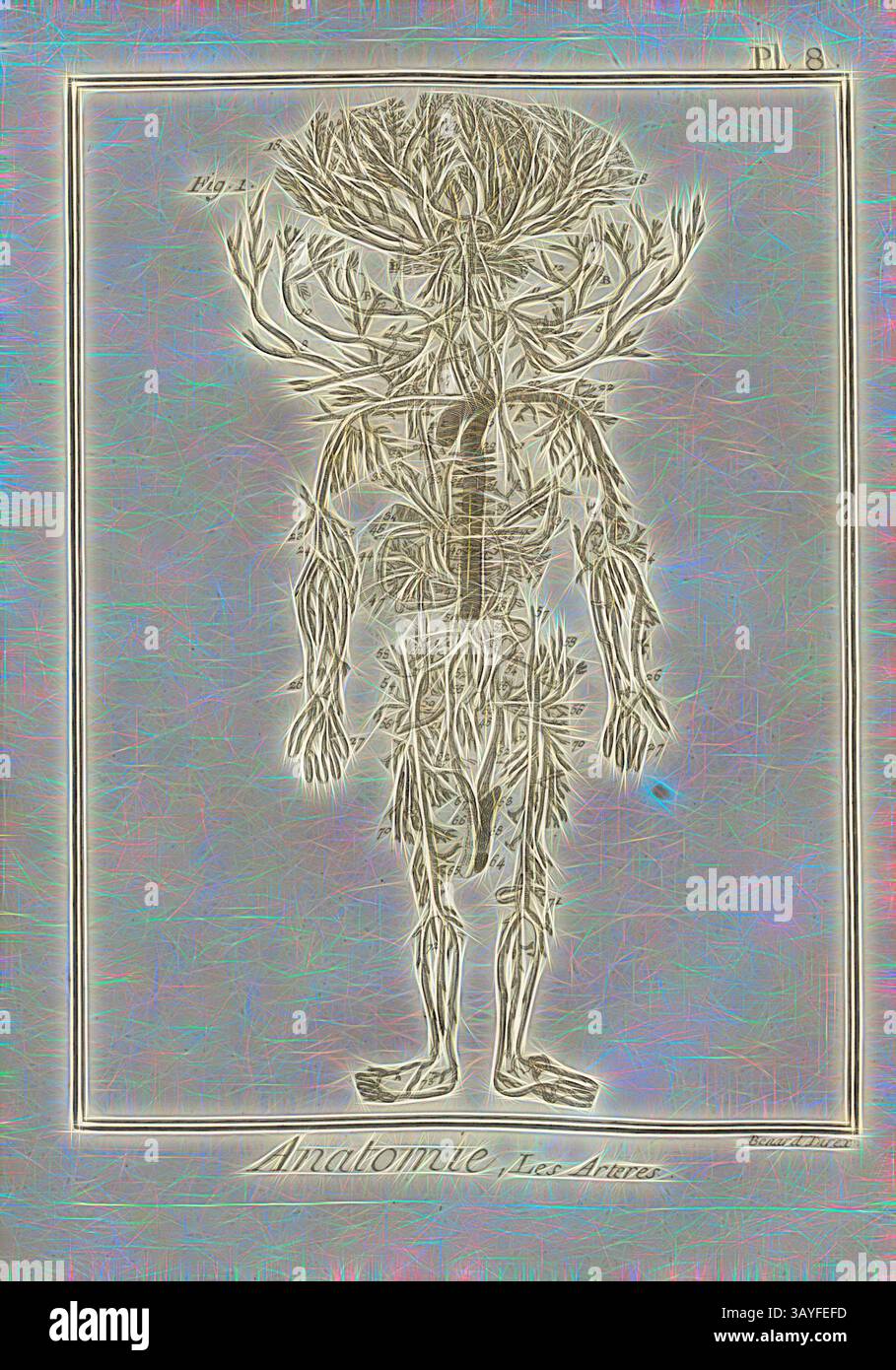 Eine detaillierte Abbildung einer menschlichen Figur mit einem Netzwerk aus komplizierten Wurzeln und Ästen, die die Verflechtung von Körper und Natur symbolisieren, begleitet von dem Begriff „Anatomie“ am unteren Rand. Anatomie, Arterien, Arterien, signiert: Benard direx, Pl. 8, nach S. 48, Benard (Richtung), 1778, Denis Diderot; M. d'Alembert: Encyclopédie, ou dictionnaire raisonné des Sciences, des Arts et des métierss, des Arts et des métiers. Genève: chez Pellet, MDCCLXXVIII [1778], Klassische Kunst mit modernem Touch, neu interpretiert von Artotop Stockfoto