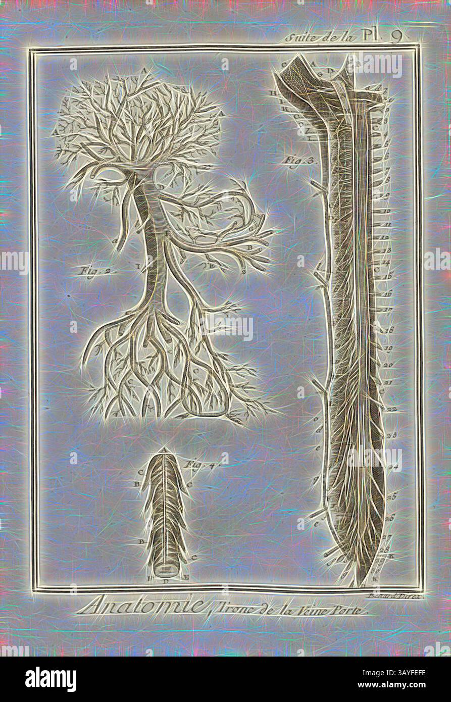 Eine detaillierte anatomische Illustration, die die Struktur der Wurzeln und eines Stammes zeigt, zeigt das komplizierte Netzwerk von Wurzeln und Gefäßelementen, beschriftet für pädagogische Referenz., Anatomy, Trunk of the Vein Gate, Portal Veins, signiert: Benard direx, Suite de la PL. 9, S. 48, Benard (Richtung), 1778, Denis Diderot; M. d'Alembert: Encyclopédie, ou dictionnaire raisonné des Sciences, des Arts et des métierss, des Arts et des métiers. Genève: chez Pellet, MDCCLXXVIII [1778], Klassische Kunst mit modernem Touch, neu interpretiert von Artotop Stockfoto