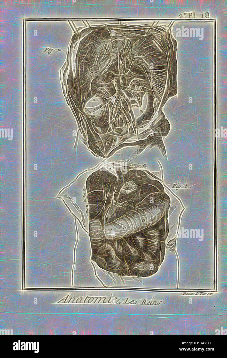 Eine detaillierte anatomische Illustration, die die inneren Strukturen des menschlichen Körpers zeigt, mit Schwerpunkt auf den Thorax- und Bauchbereich, komplett mit Etiketten und Verweisen auf spezifische Zahlen für Bildungszwecke. Anatomie, Nieren, Niere und Lendenwirbelsäule, signiert: Benard direx, 2. Auflage. 18, nach S. 48, Benard (Richtung), 1778, Denis Diderot; M. d'Alembert: Encyclopédie, ou dictionnaire raisonné des Sciences, des Arts et des métierss, des Arts et des métiers. Genève: chez Pellet, MDCCLXXVIII [1778], Klassische Kunst mit modernem Touch, neu interpretiert von Artotop Stockfoto