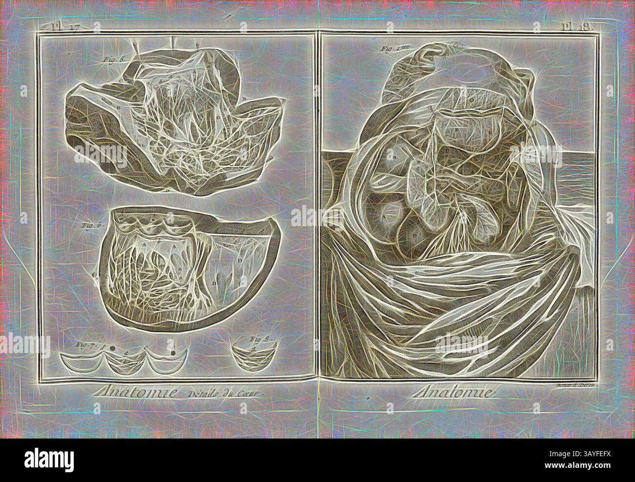 Eine komplizierte Illustration mit anatomischen Strukturen, mit detaillierten Darstellungen von Organen und ihren Verbindungen, begleitet von beschrifteten Skizzen, um das Verständnis der menschlichen Anatomie zu verbessern., Anatomie, Details des Herzens, Herz, signiert: Benard direx, 2. Auflage. 17 et 18, nach S. 48, Benard (Richtung), 1778, Denis Diderot; M. d'Alembert: Encyclopédie, ou dictionnaire raisonné des Sciences, des Arts et des métierss, des Arts et des métiers. Genève: chez Pellet, MDCCLXXVIII [1778], Klassische Kunst mit modernem Touch, neu interpretiert von Artotop Stockfoto