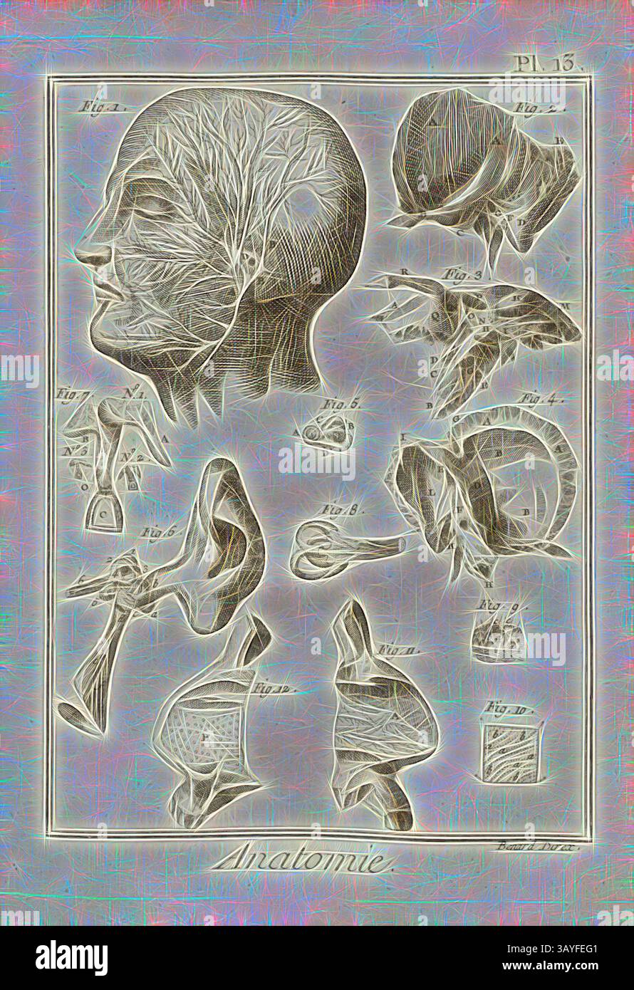 Eine detaillierte anatomische Illustration, die verschiedene Strukturen des menschlichen Kopfes zeigt, einschließlich Nerven, Muskeln und Ohranatomie, zusammen mit beschrifteten Diagrammen als Referenz. Anatomie. Aus dem Ohr, laut Duverney, Ear, signiert: Benard direx, PL. 13, S. 48, Benard (Richtung), 1778, Denis Diderot; M. d'Alembert: Encyclopédie, ou dictionnaire raisonné des Sciences, des Arts et des métierss, des Arts et des métiers. Genève: chez Pellet, MDCCLXXVIII [1778], Klassische Kunst mit modernem Touch, neu interpretiert von Artotop Stockfoto
