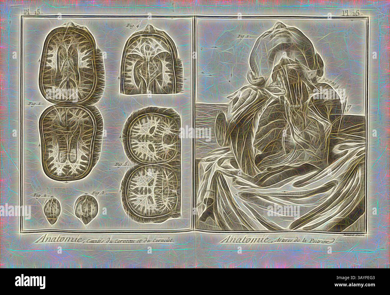 Eine Sammlung komplizierter anatomischer Illustrationen mit detaillierten Diagrammen des menschlichen Körpers, einschließlich Ansichten des Gehirns und anderer innerer Strukturen, begleitet von künstlerischen Darstellungen, die die Komplexität der menschlichen Anatomie hervorheben. Anatomie, Gehirn und Kleinhirnhöhlen und Anatomie, Arterien der Brust, Gehirn und Arterien, signiert: Benard direx, PL. 15 et 16, nach S. 48, Benard (Richtung), 1778, Denis Diderot; M. d'Alembert: Encyclopédie, ou dictionnaire raisonné des Sciences, des Arts et des métierss, des Arts et des métiers. Genève: chez Pellet, MDCCLXXVIII [1778], Klassische Kunst mit Stockfoto