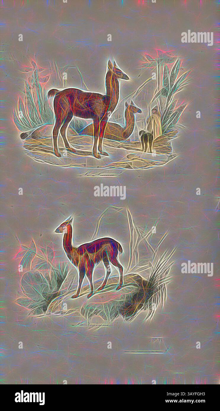 Eine ruhige Landschaft mit stilisierten Darstellungen von zwei anmutigen Hirschen inmitten üppiger Vegetation, die ein Gefühl der Ruhe und Verbundenheit mit der Natur wecken., der Lama und die Vigogne, Lama und Vikunja, signiert: V. Adam del, E. Giroux sc, Abb. 20, nein 71, nach S. 518, Adam, Victor (del.); Giroux, Emile (sc.), 1855, Georges Louis Le Clerc de Buffon, Pierre Flourens: oeuvres complètes de Buffon avec la nomenclature Linnéenne et la Classification de Cuvier. Tomé 4. Paris: Garnier frères, [1855], Klassische Kunst mit modernem Touch von Artotop Stockfoto