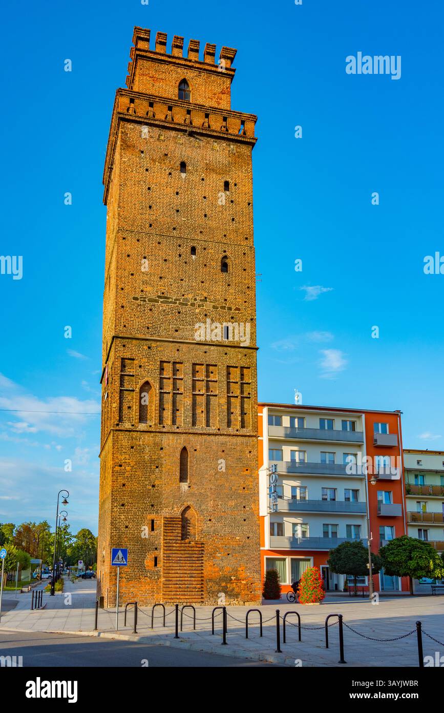 Der Ziebicka Torturm in Nysa, Polen. BILD Stockfoto