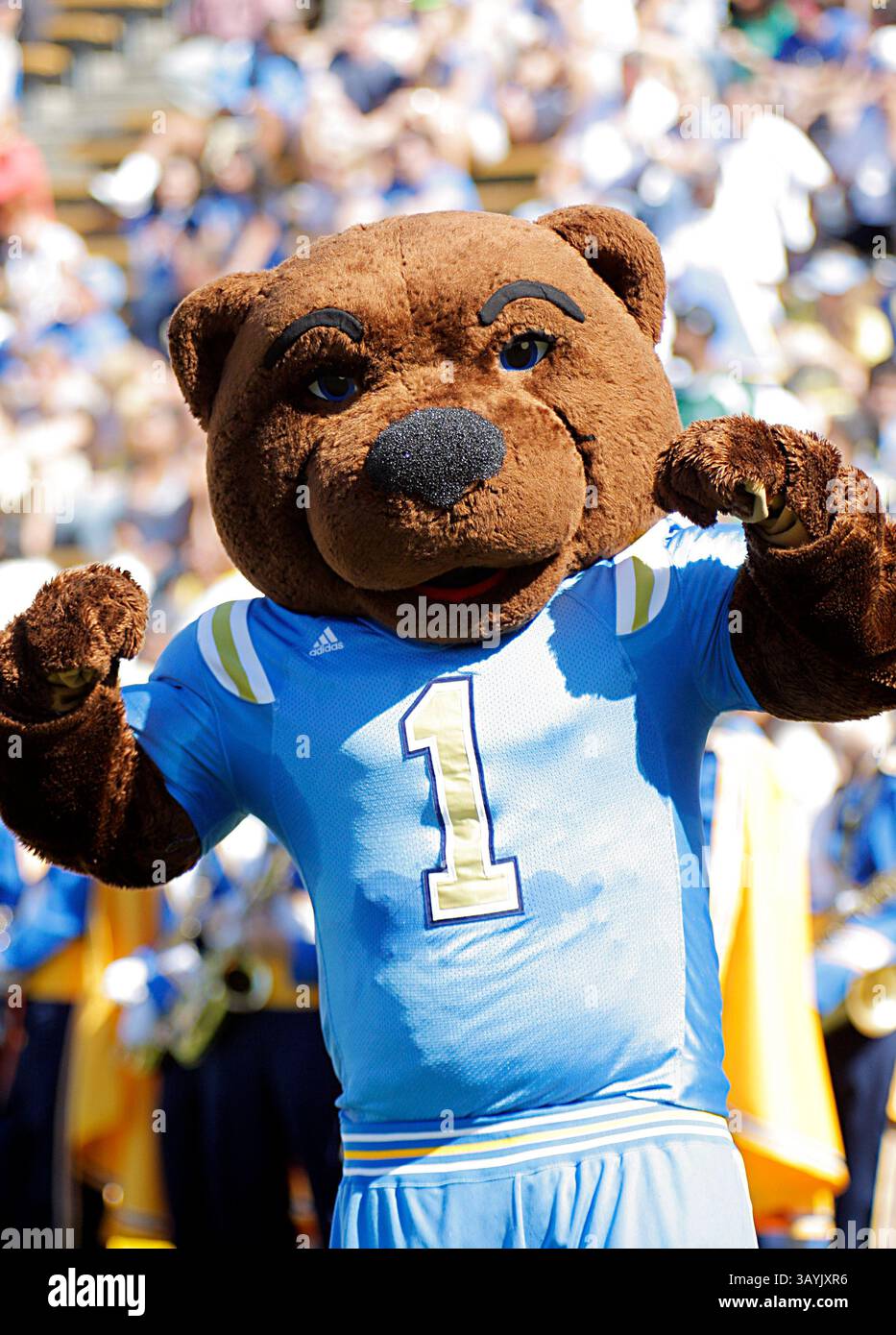 09. Oktober 2010 während des NCAA Football Game zwischen den Cal Golden Bears vs University California Los Angeles Bruins UCLA Maskottchen im Memorial Stadium Berkeley CA(Bild: © Thurman James/Cal Sport Media/ZUMApress.com) Stockfoto
