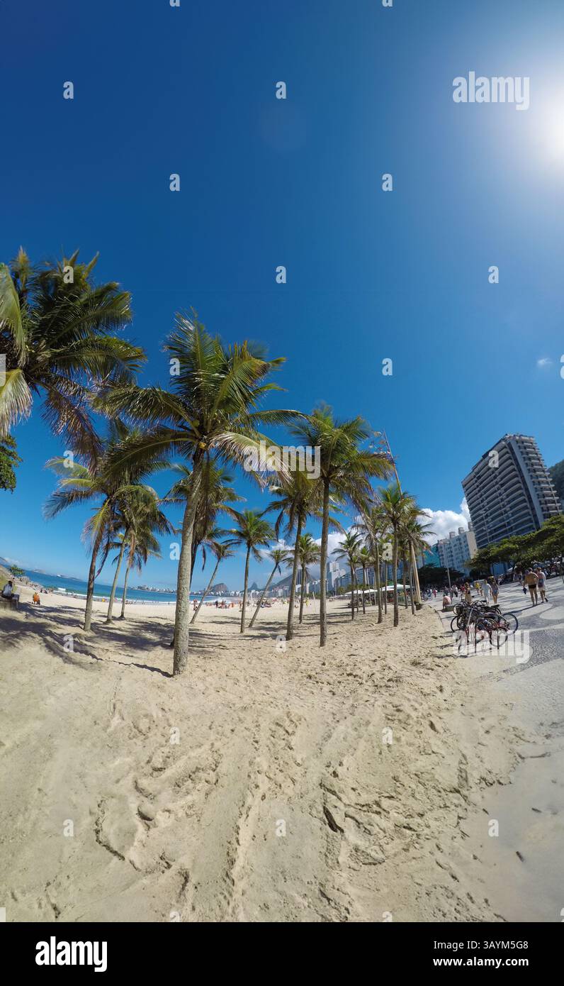 Kokospalmen am Copacabana Beach in Rio de Janeiro Brasilien. Stockfoto