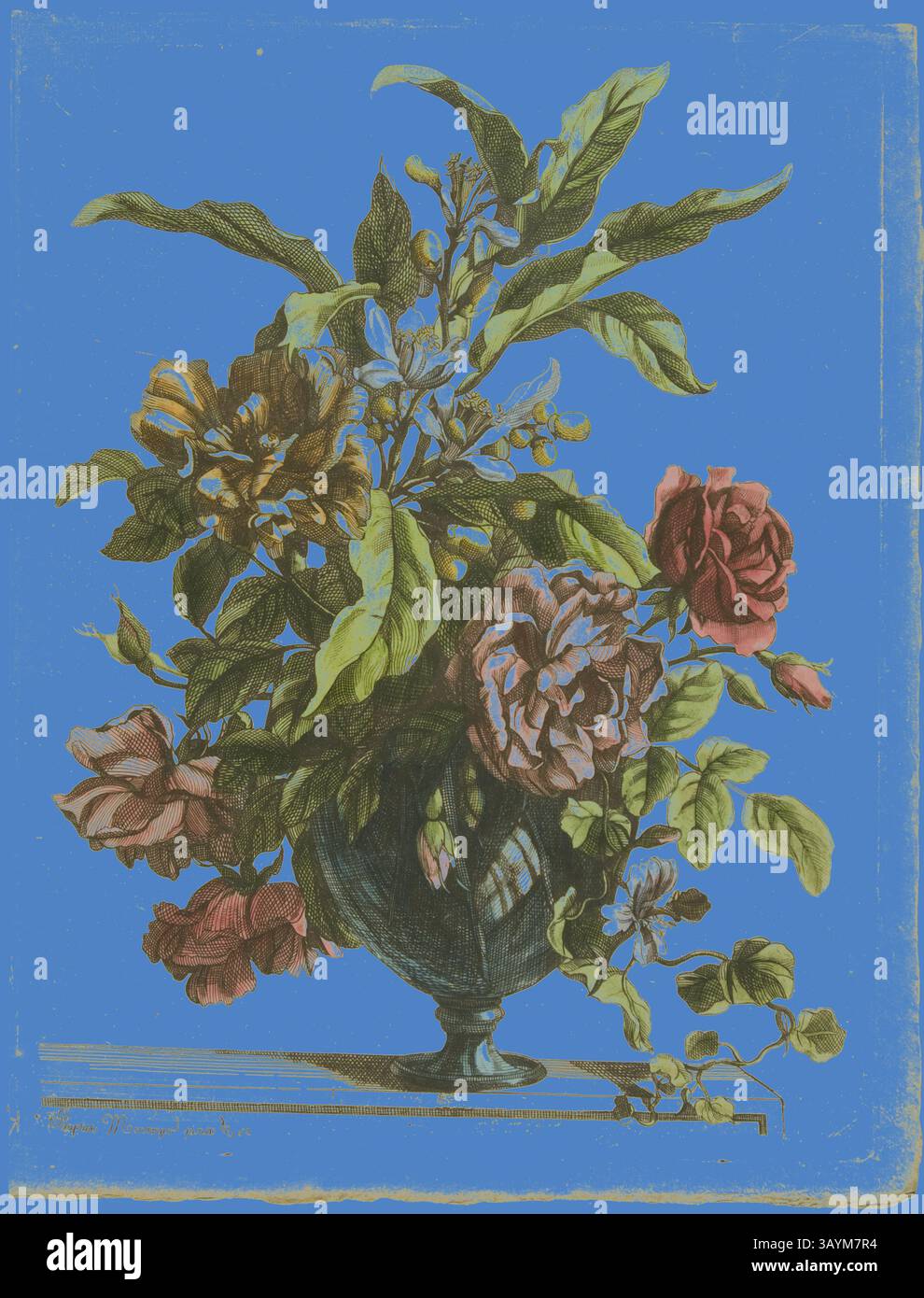 Ein lebhaftes Arrangement blühender Blumen in einer dekorativen Vase, das eine Mischung aus üppigem Grün und farbenfrohen Blüten vor einem auffälligen blauen Hintergrund präsentiert und die Schönheit der Natur in einer harmonischen Komposition festlegt. Blumenvase, 1660, Jean Baptiste Monnoyer, Französisch, 1636-1699, Frankreich, Ätzen in Schwarz, mit handkolorierter Färbung, auf Elfenbeinpapier, 280 x 216 mm (Platte), 300 x 230 mm (Blatt) Klassische Kunst mit modernem Twist, neu interpretiert von Artotop Stockfoto