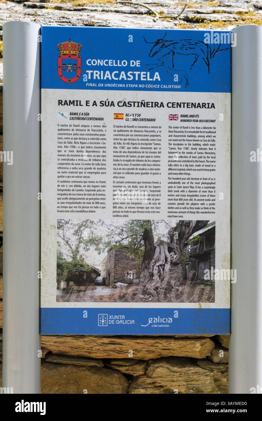 Spanien, Galicien. Dreisprachiges Informationsschild - Englisch, Spanisch und Gallego - auf dem Jakobsweg nach Triacastela. Stockfoto