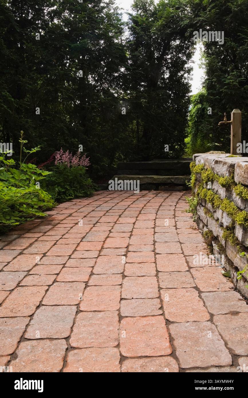 Erhöhte Steinmauer und Rand mit rosafarbenen Astilbe-Blumen neben dem Terrakotta-Pflastersteinpfad, der zur Thuja occidentalis-Laube im Hinterhof führt Stockfoto