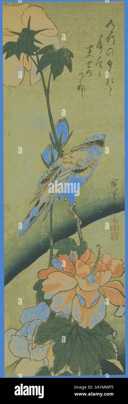 Eine farbenfrohe Darstellung eines Vogels inmitten lebendiger Blumen, begleitet von zartem japanischem Text, der die natürliche Schönheit der Szene unterstreicht. Das Design zeigt komplexe Details und eine harmonische Mischung aus Elementen der Natur. oriole auf Hibiskus, Mitte der 1830er Jahre, Utagawa Hiroshige 歌川 広重, Japanisch, 1797-1858, Japan, Farbholzdruck, Chutanzaku, 5/8 x 3/4 Zoll Klassische Kunst mit modernem Touch, neu interpretiert von Artotop Stockfoto