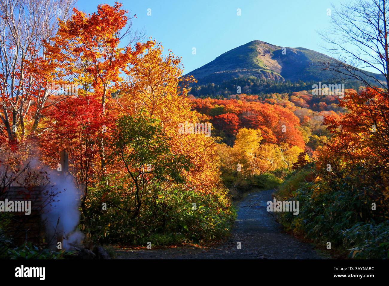 Atemberaubend schöner, atemberaubend schöner Herbst am Berg Hakkoda. Präfektur Aomori. Japan Stockfoto