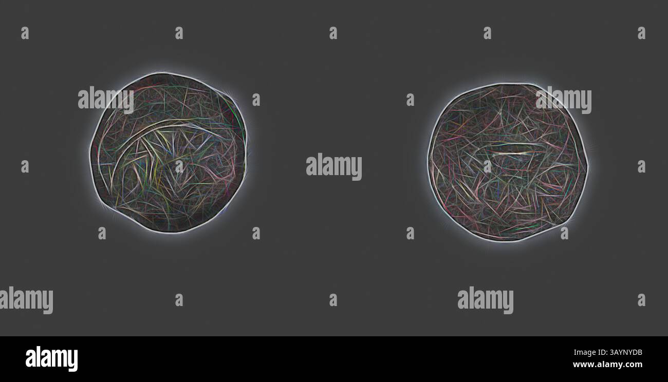 Zwei runde Objekte mit komplizierten, farbenfrohen Linien, die die Oberfläche durchziehen und ein netzähnliches Muster erzeugen. Jede Form hat ein eigenes Erscheinungsbild, das durch eine leuchtende Umrandung gekennzeichnet ist, die ihre abstrakte Qualität verbessert. Münze mit einem Zweigbündel, Haschmonäische Dynastie (136–135 v. Chr.), Herrschaft von Simon Makkabeus, Judäer, Israel, Bronze, Durchm. 2 cm, 5,11 g Klassische Kunst mit modernem Touch, neu interpretiert von Artotop Stockfoto