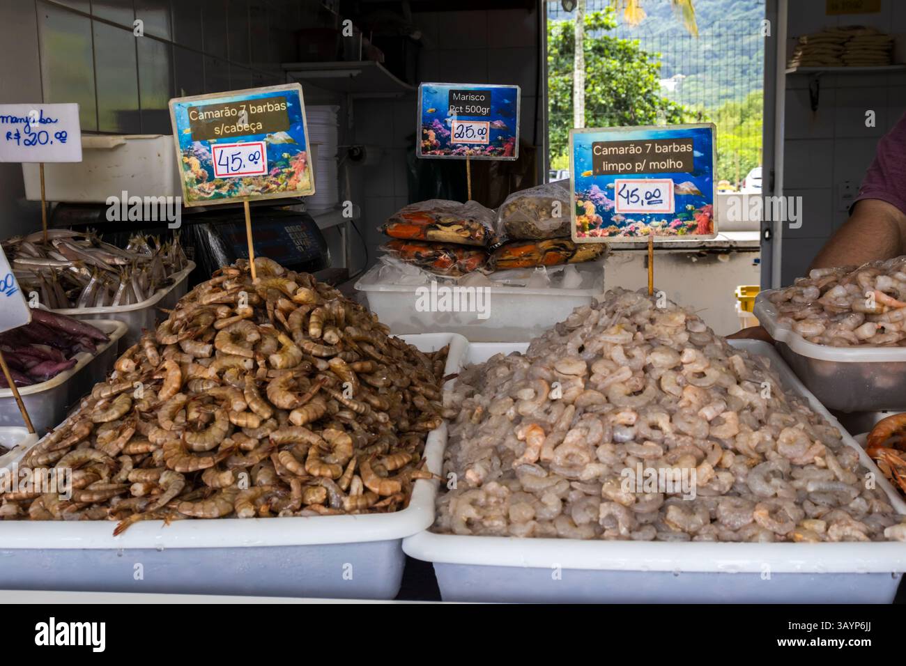 Peruibe, Sao Paulo, Brasilien. Januar 2025, Brasilien. Frische Meeresfrüchte auf einem Fischmarkt in Peruíbe. Verschiedene Garnelen, Tintenfische, Tintenfische und Muscheln Stockfoto