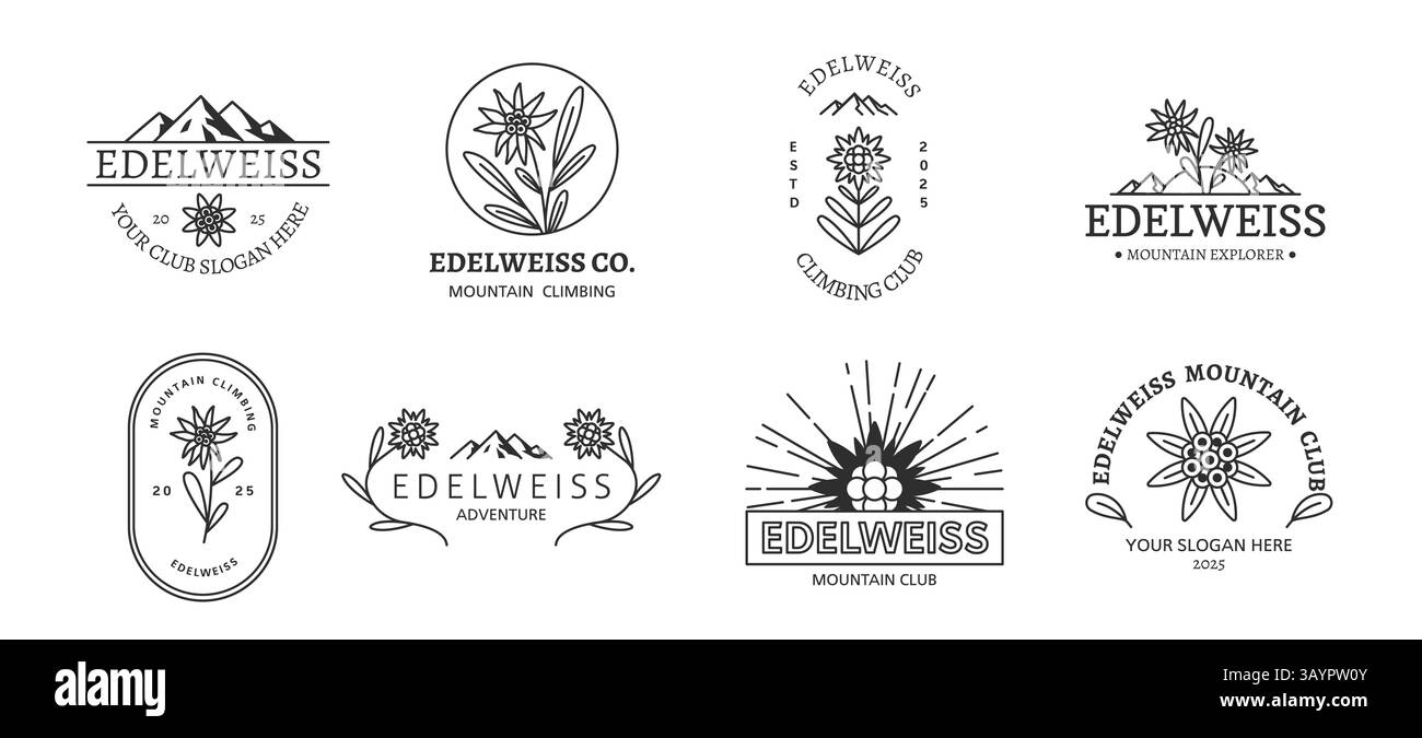 Edelweiss-Embleme. Botanische Designetiketten, Bergwandern Blumensymbol, Outdoor-Abenteueraufkleber mit Wildblumen, dekoratives Logo, minimales Kontingent Stock Vektor