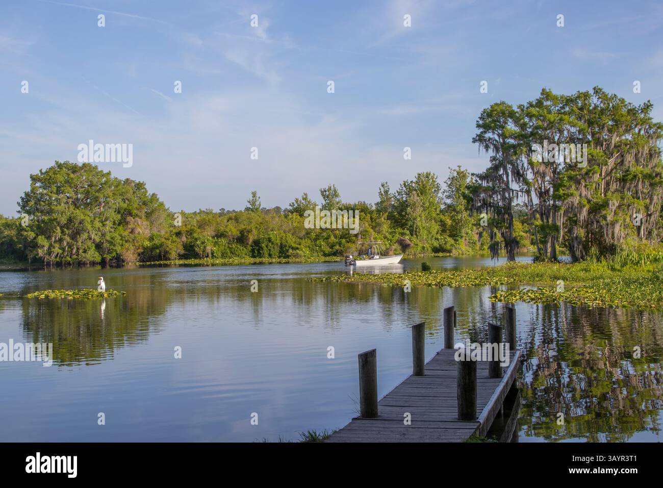 Bootstouren auf dem Lake Rousseau in Dunnellon, Florida Stockfoto