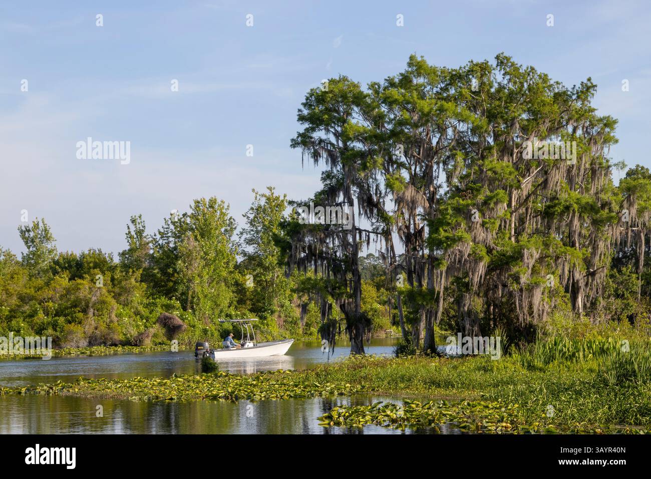 Bootstouren auf dem Lake Rousseau in Dunnellon, Florida Stockfoto